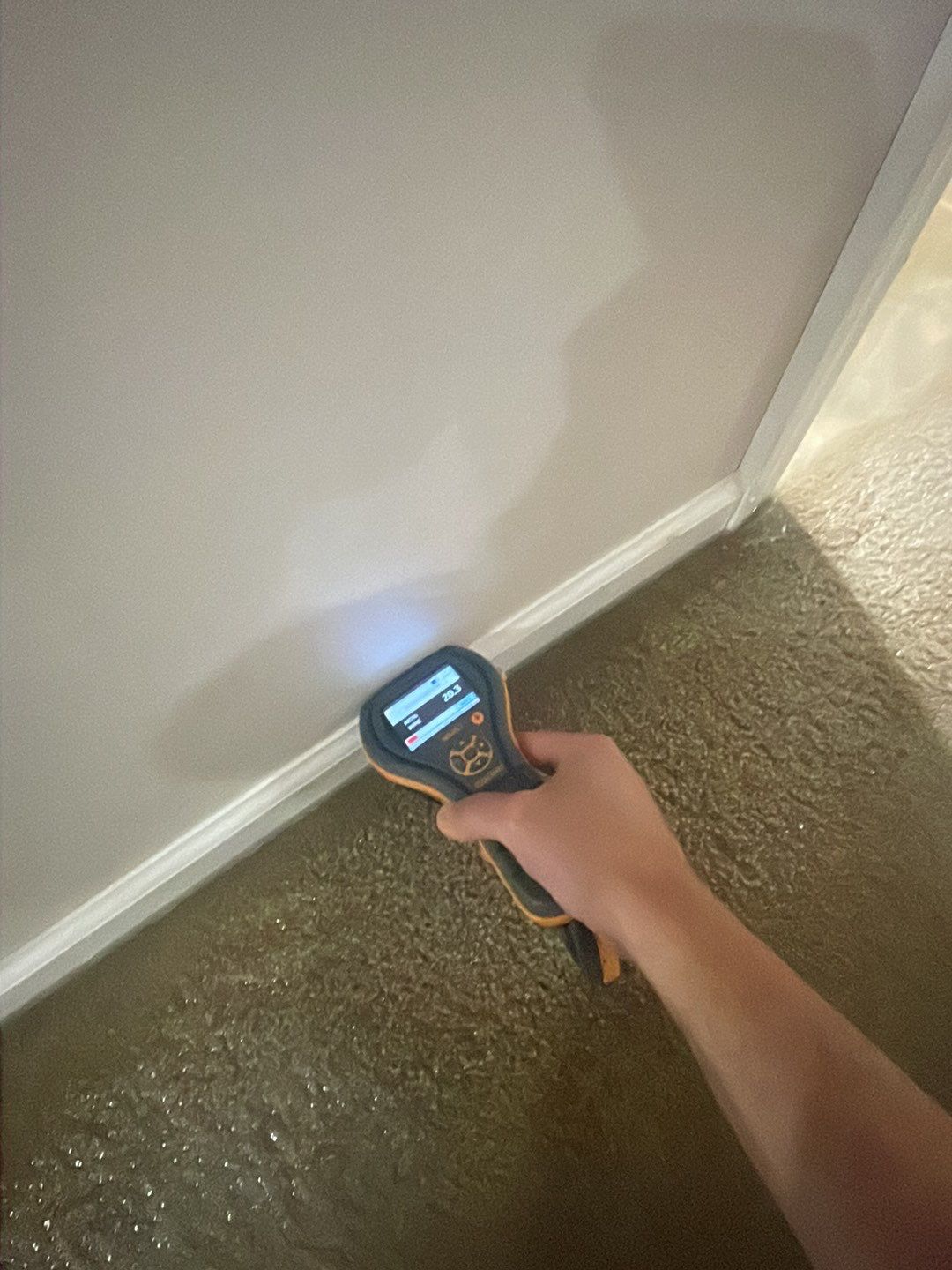 Project in Troy by EzDry Water Mitigation & Property Restoration