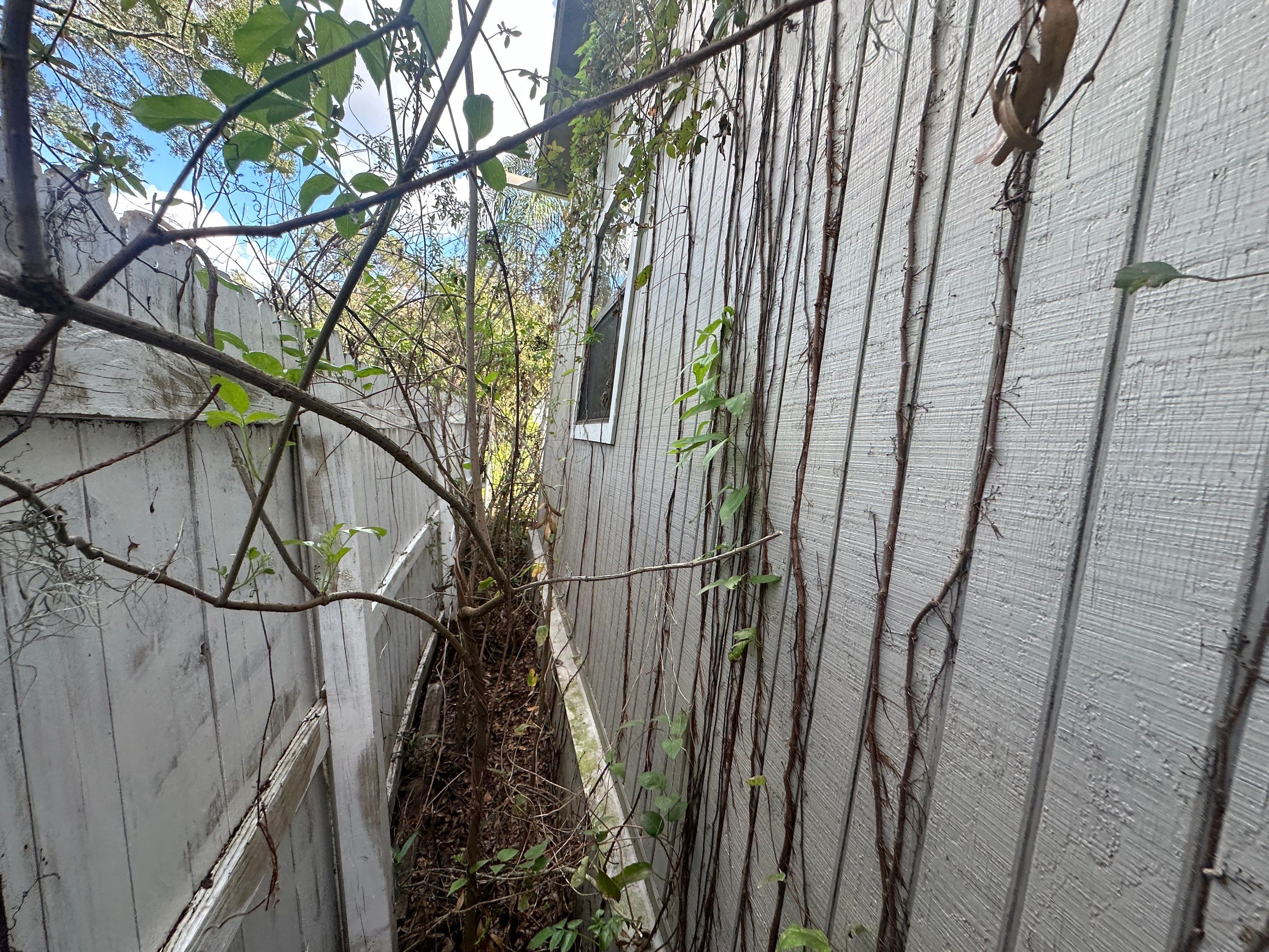 Water Damage Claim in Lutz by FLAPA & KeyStone