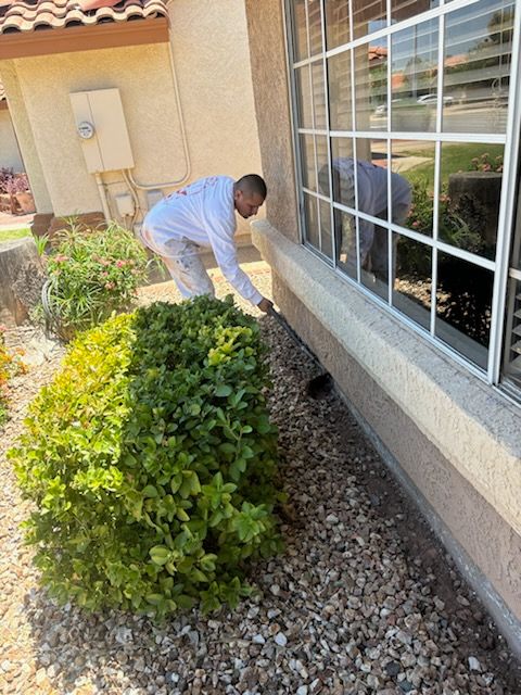 Exterior Painting - Chandler by Crash of Rhinos Painting & Garage Floors