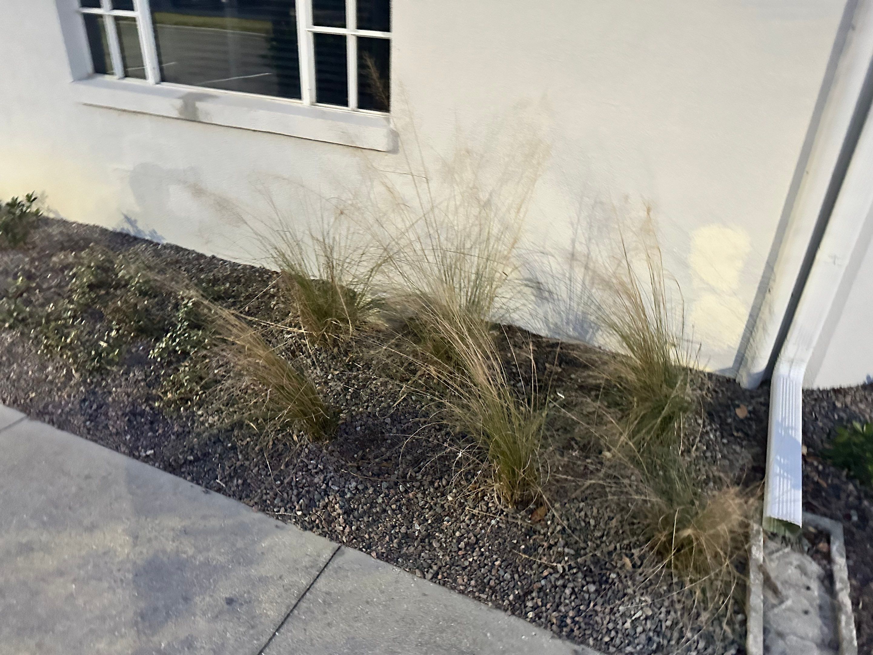 Gutter Repair and Resealing in Sarasota FL by Gutter Professors