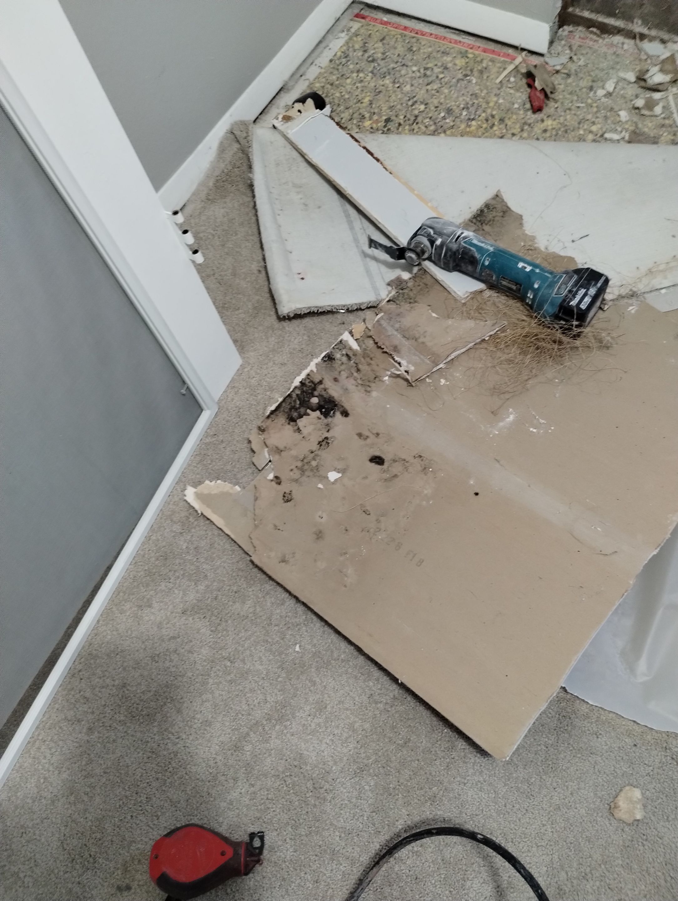 Mold Damage Repairs by Accountable Home Services