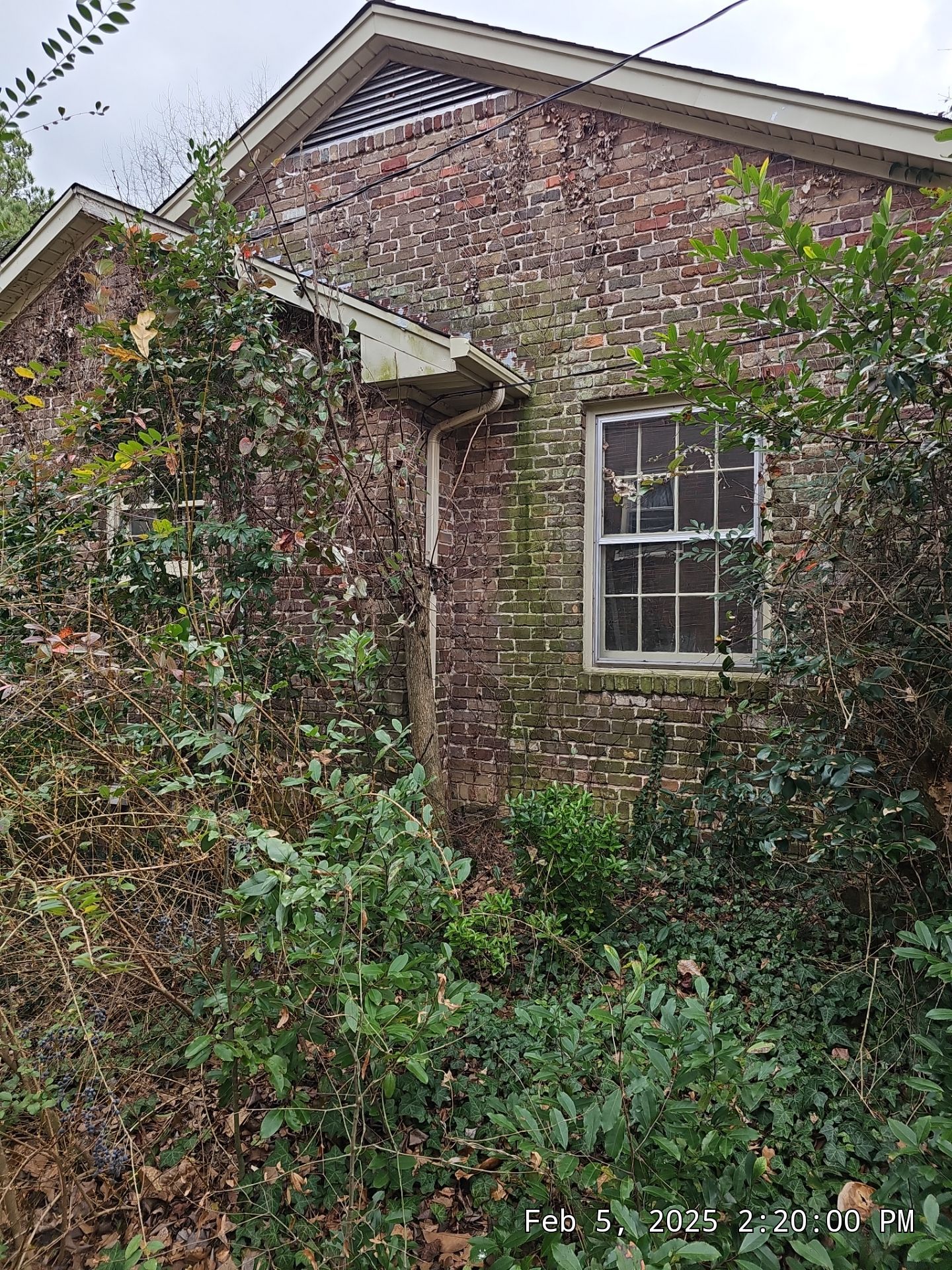 Crawford Project in Birmingham by The Window Source