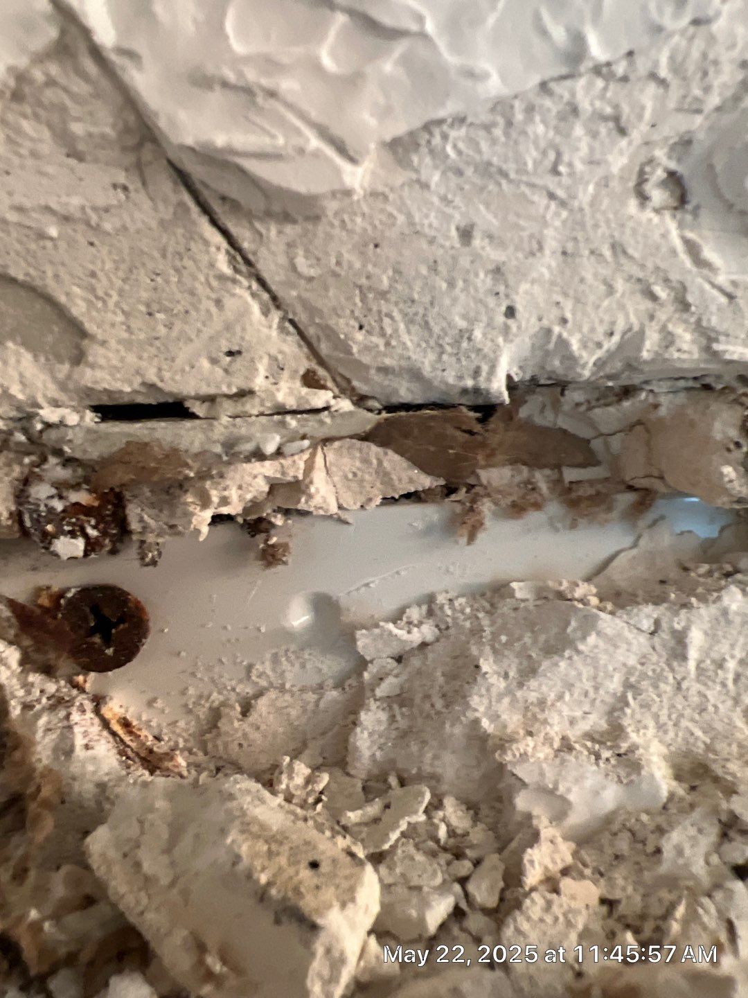 Tampa Mold Removal by Ampm Restoration Services