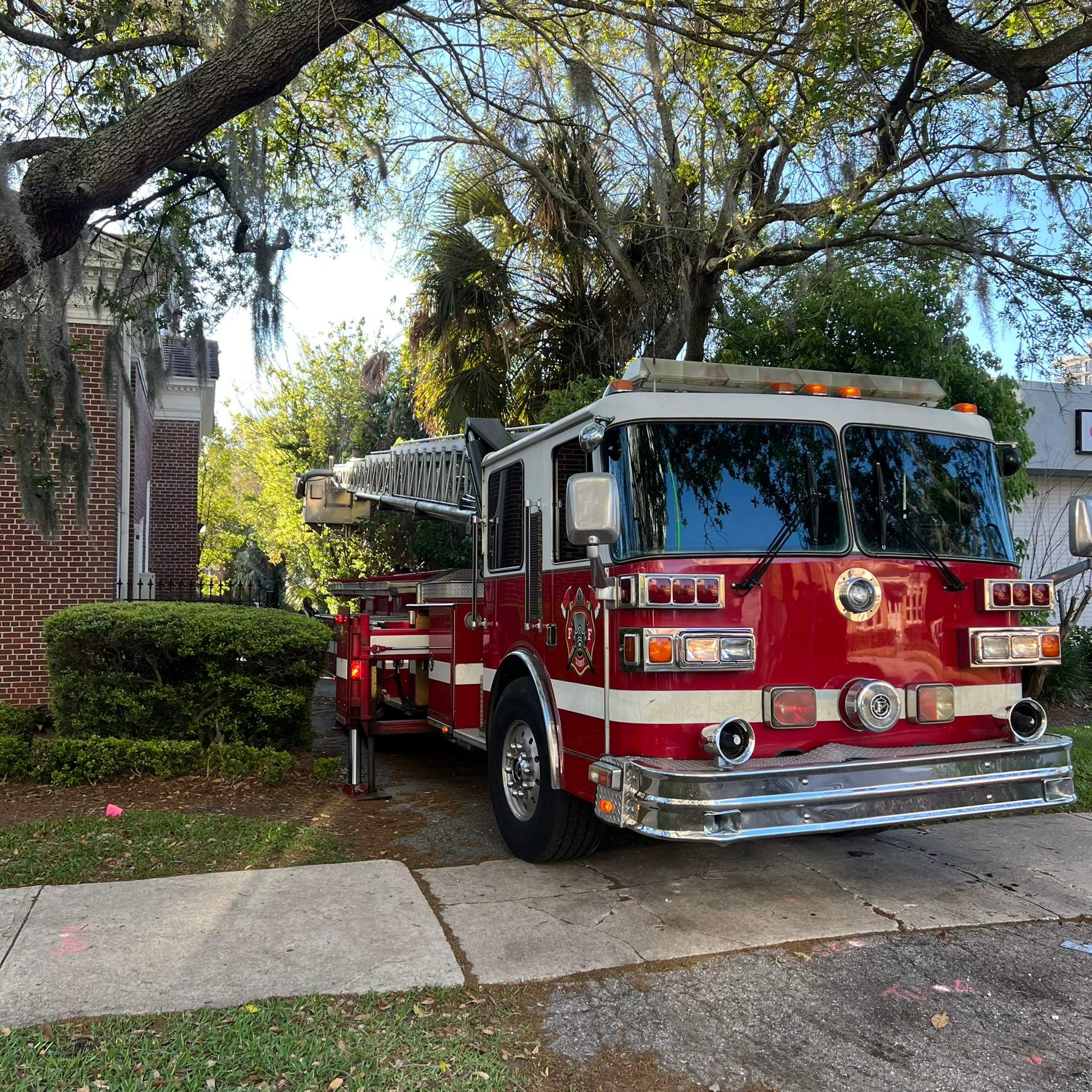 Tree Work | Garden Club of Jacksonville by ProGreen Services