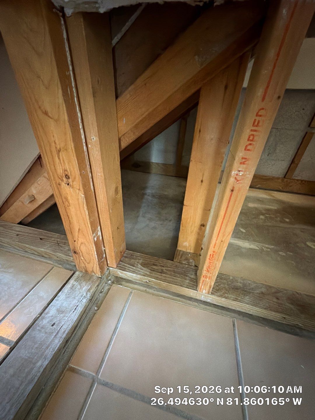 Mold Remediation and Interior Containment Services in Fort Myers by Microscope