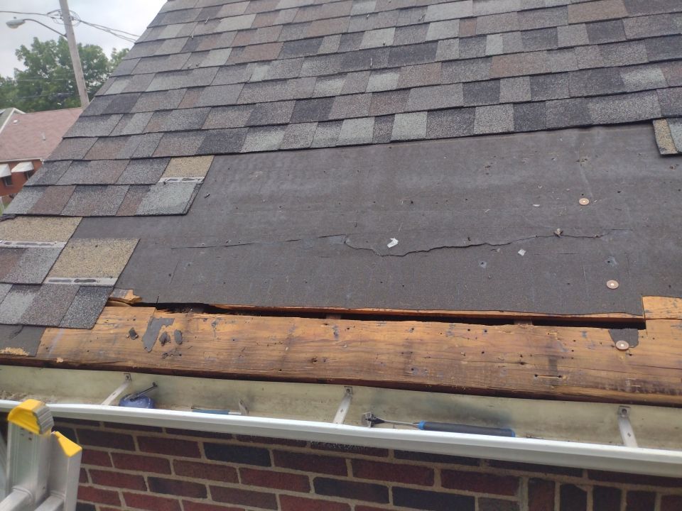 Scott Dotson by Silver Leaf Contracting 
