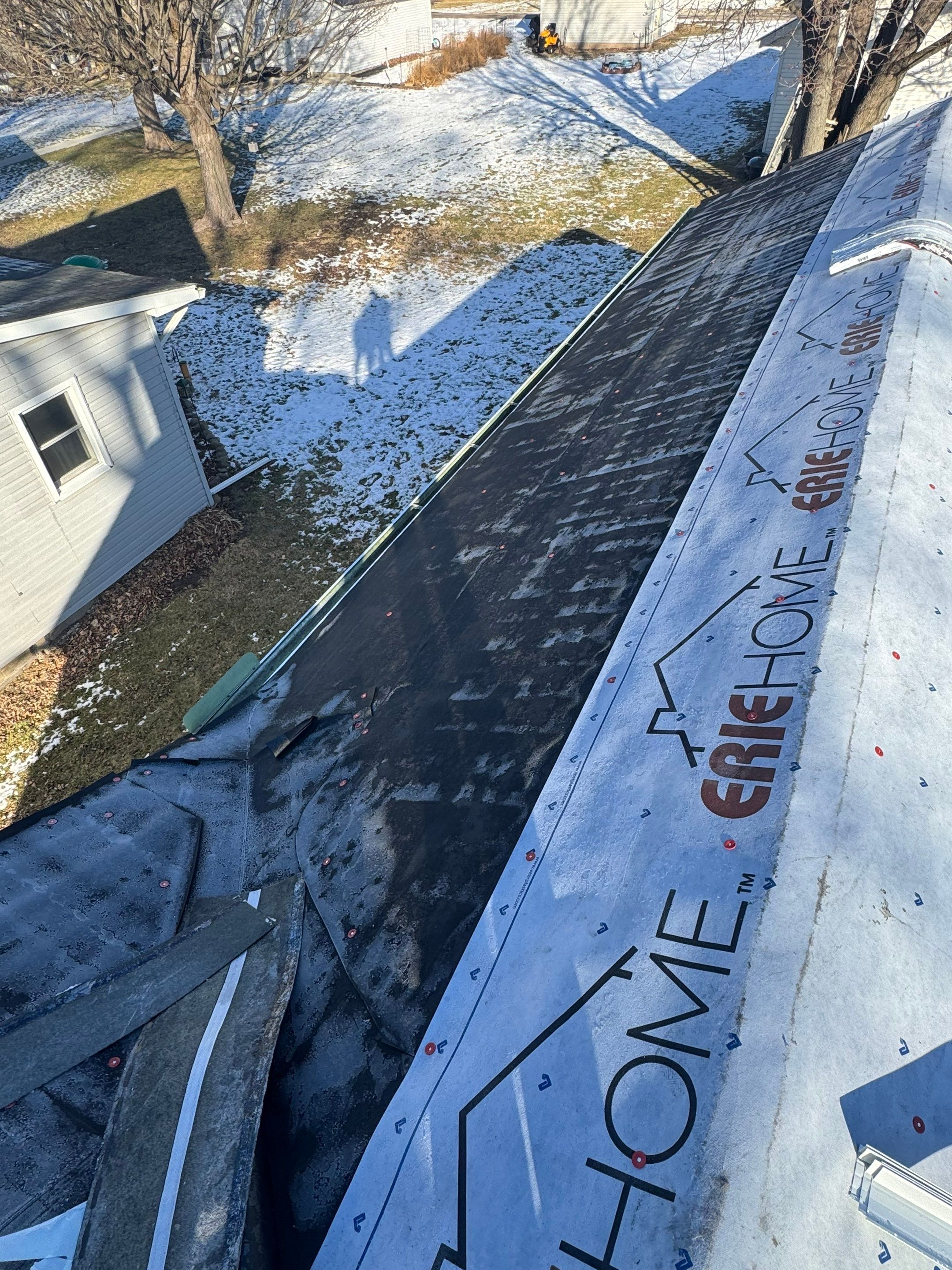 Sharkey Roof by Erie Home