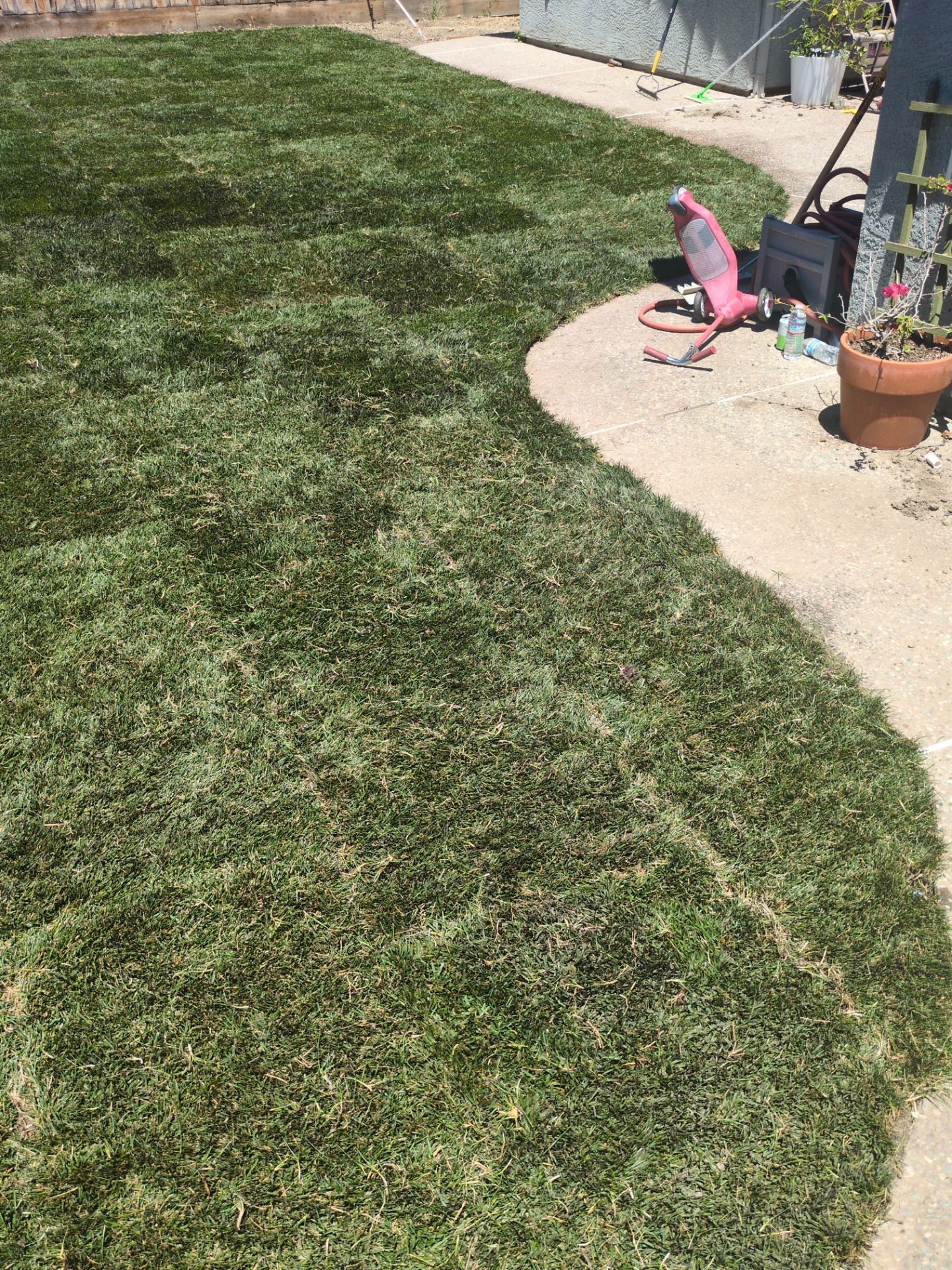 Project in Tracy by A - G Sod Farms