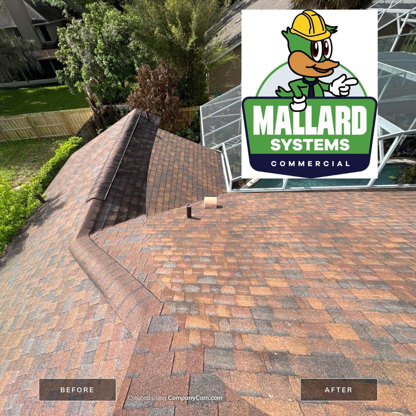 Shingle Roof Debris Removal and Cleaning by Mallard Systems