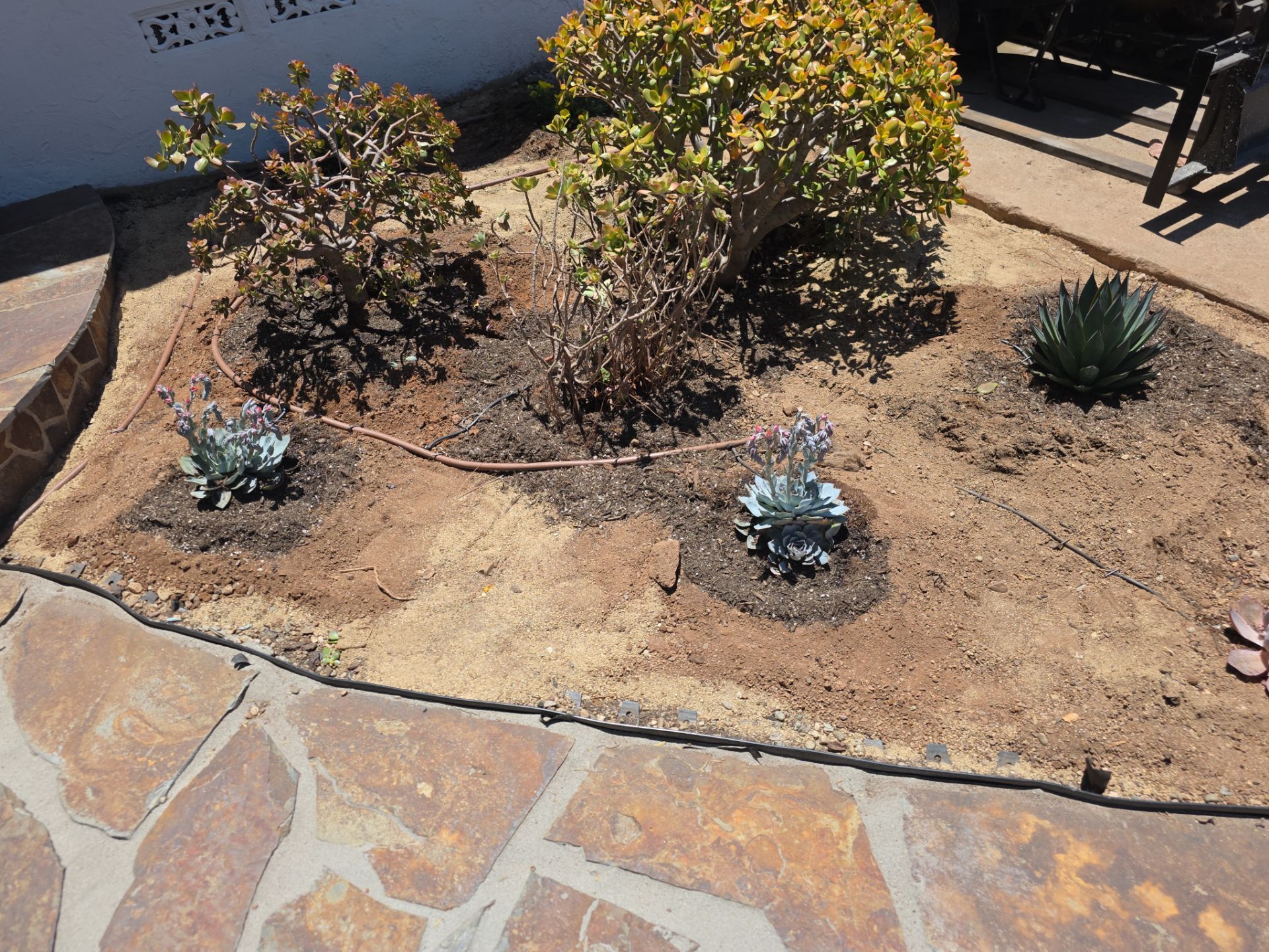 Xeriscape Transformation with River Rock and Irrigation in San Diego by Yard Techs
