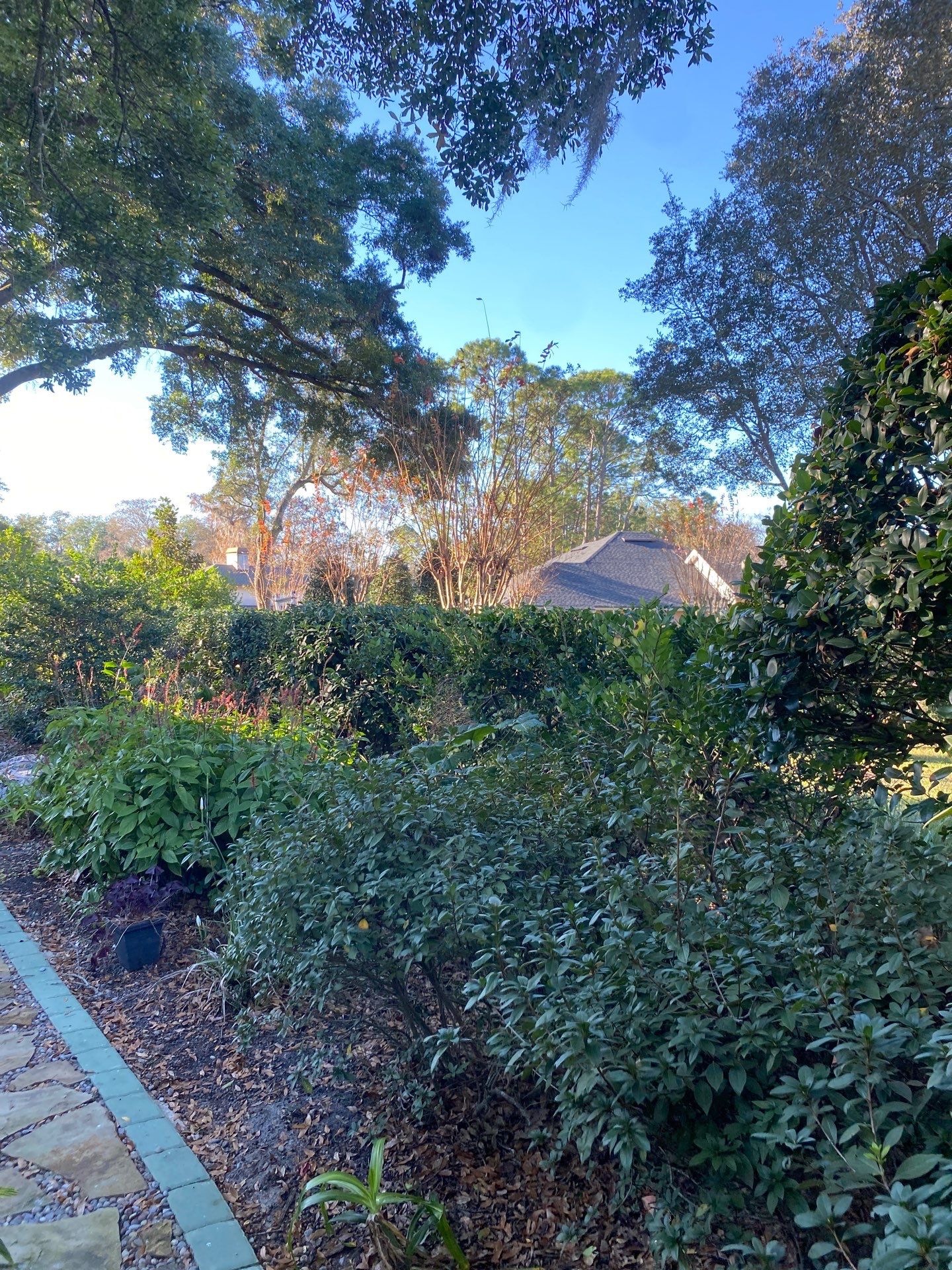 Deerwood Resident | Tree Removal by ProGreen Services