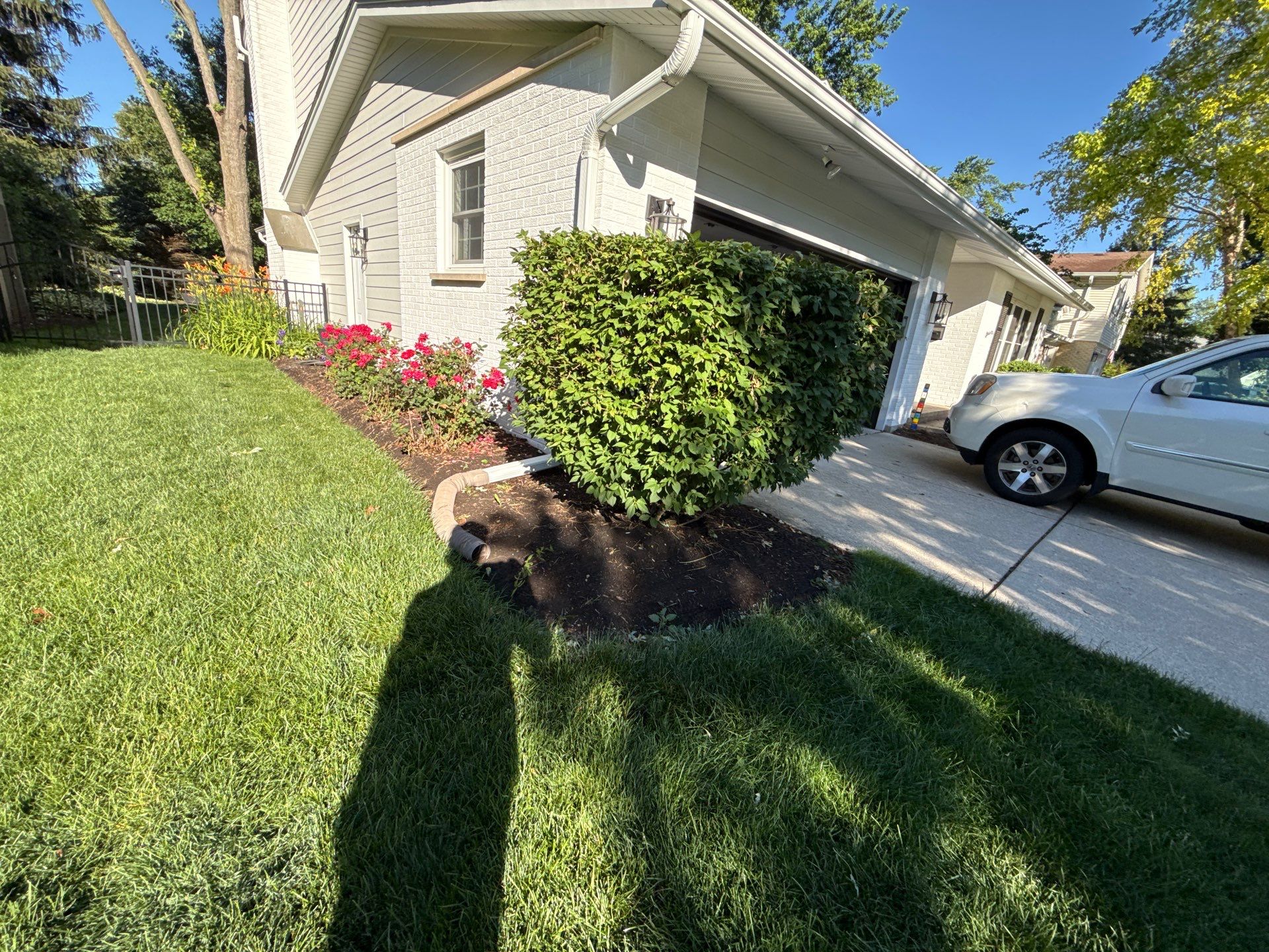 Lesley D. - Arlington Heights, IL by A&N 