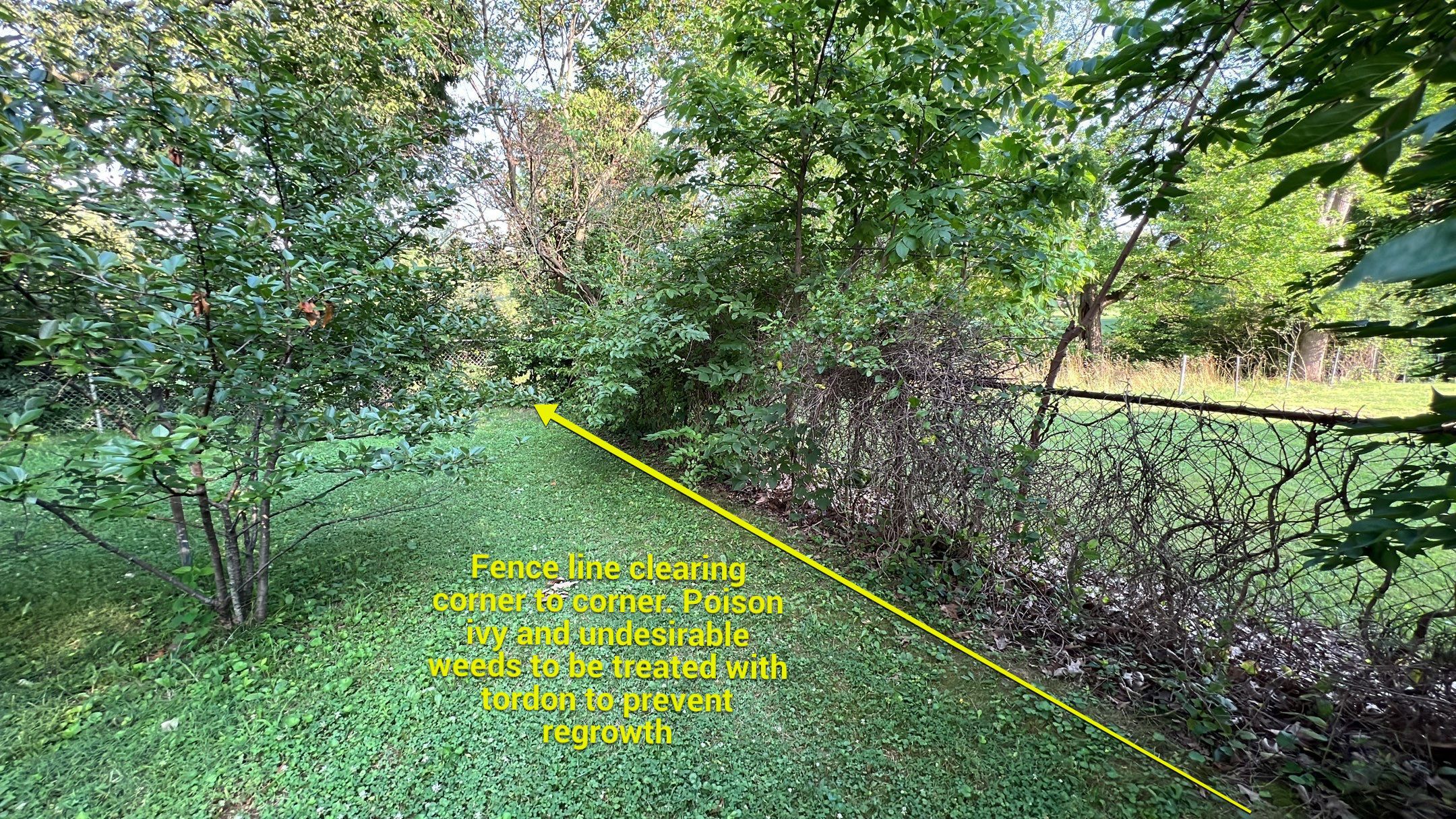 Foundation Grading & Gravel Installation by Reisenberg’s Lawn & Landscape, LLC