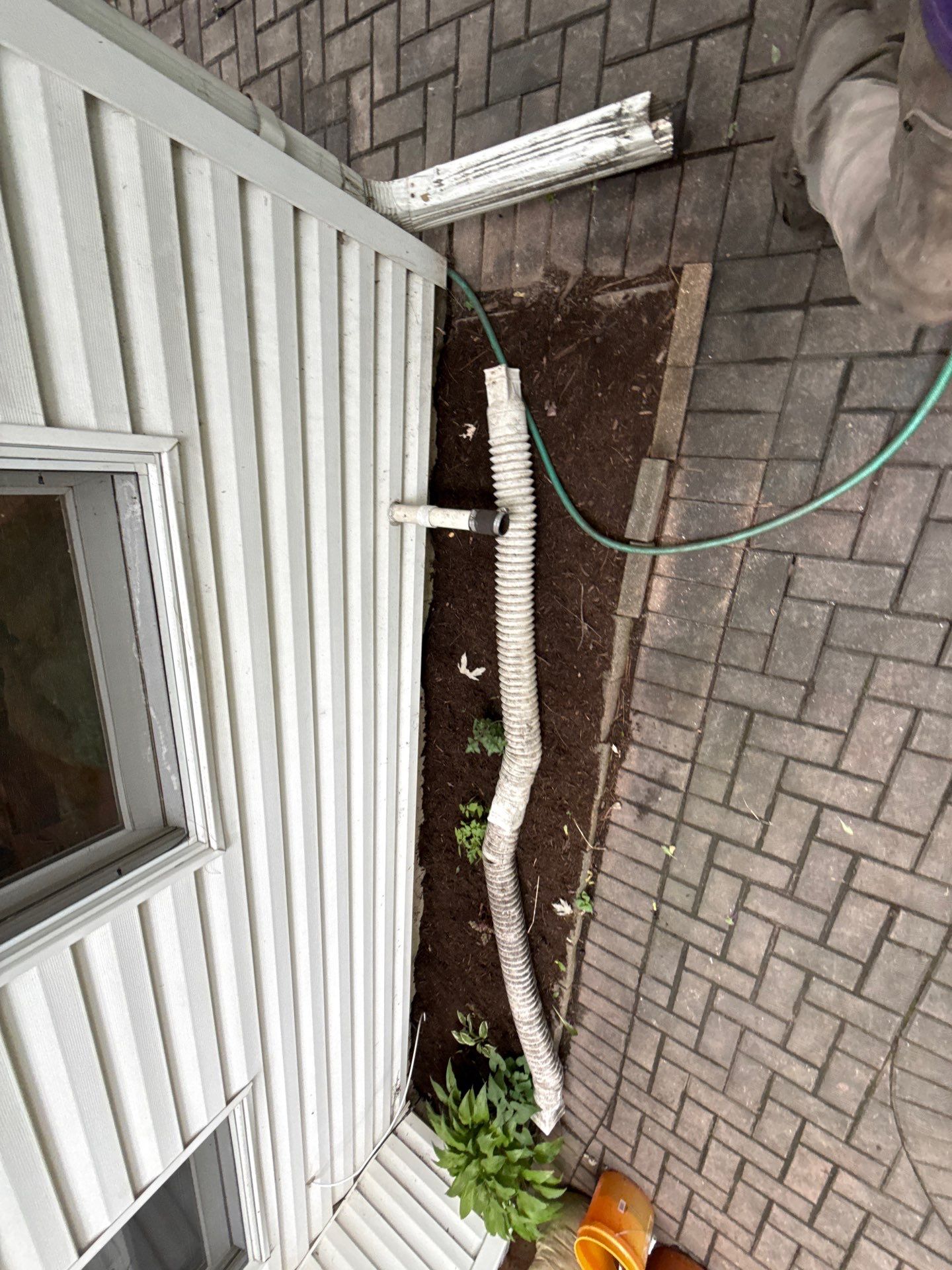 Steven L. - Park Ridge, IL by A&N