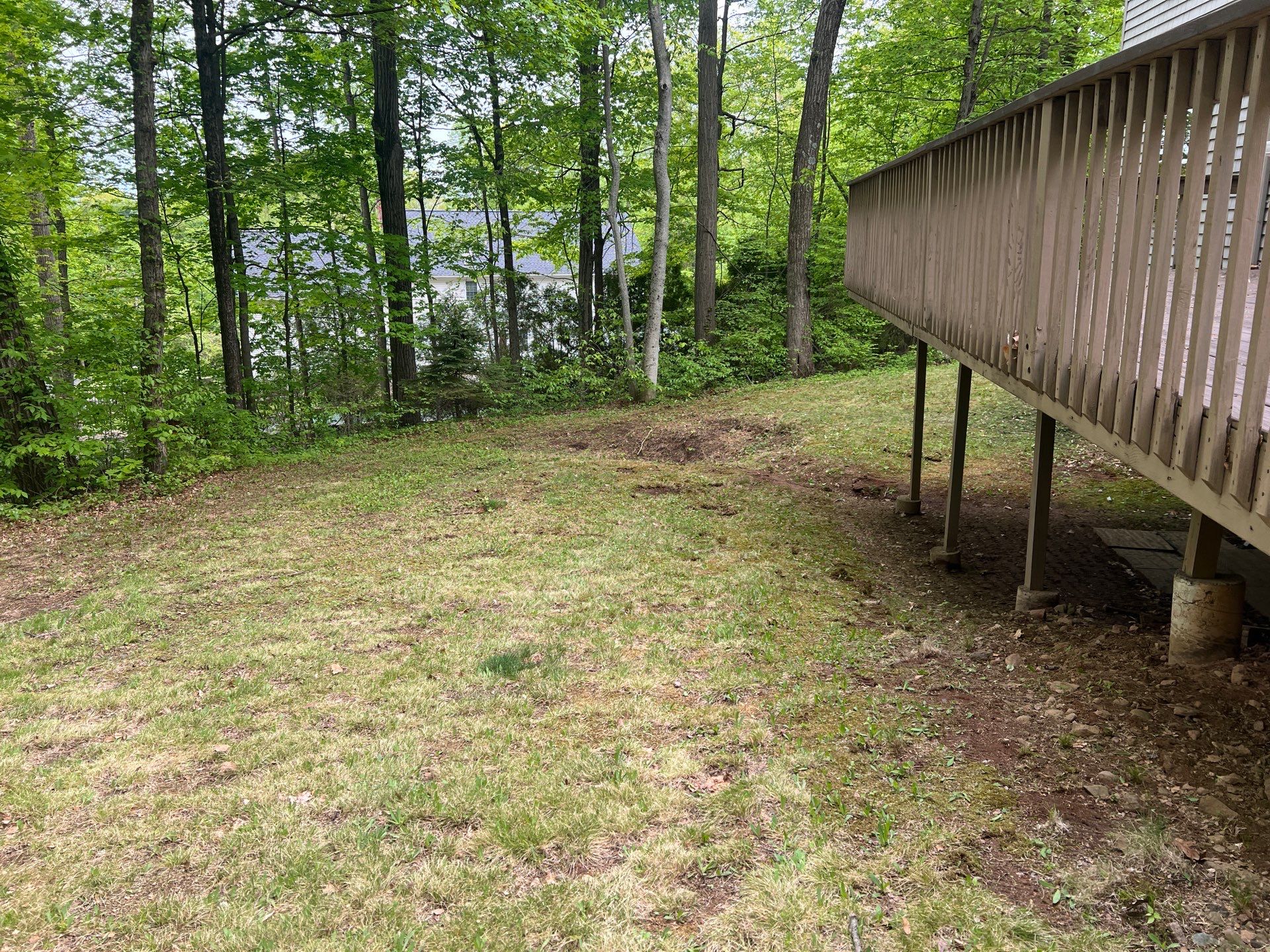 Seasonal Property Cleanup and Professional Mowing in Hamden by Diamond Image LLC