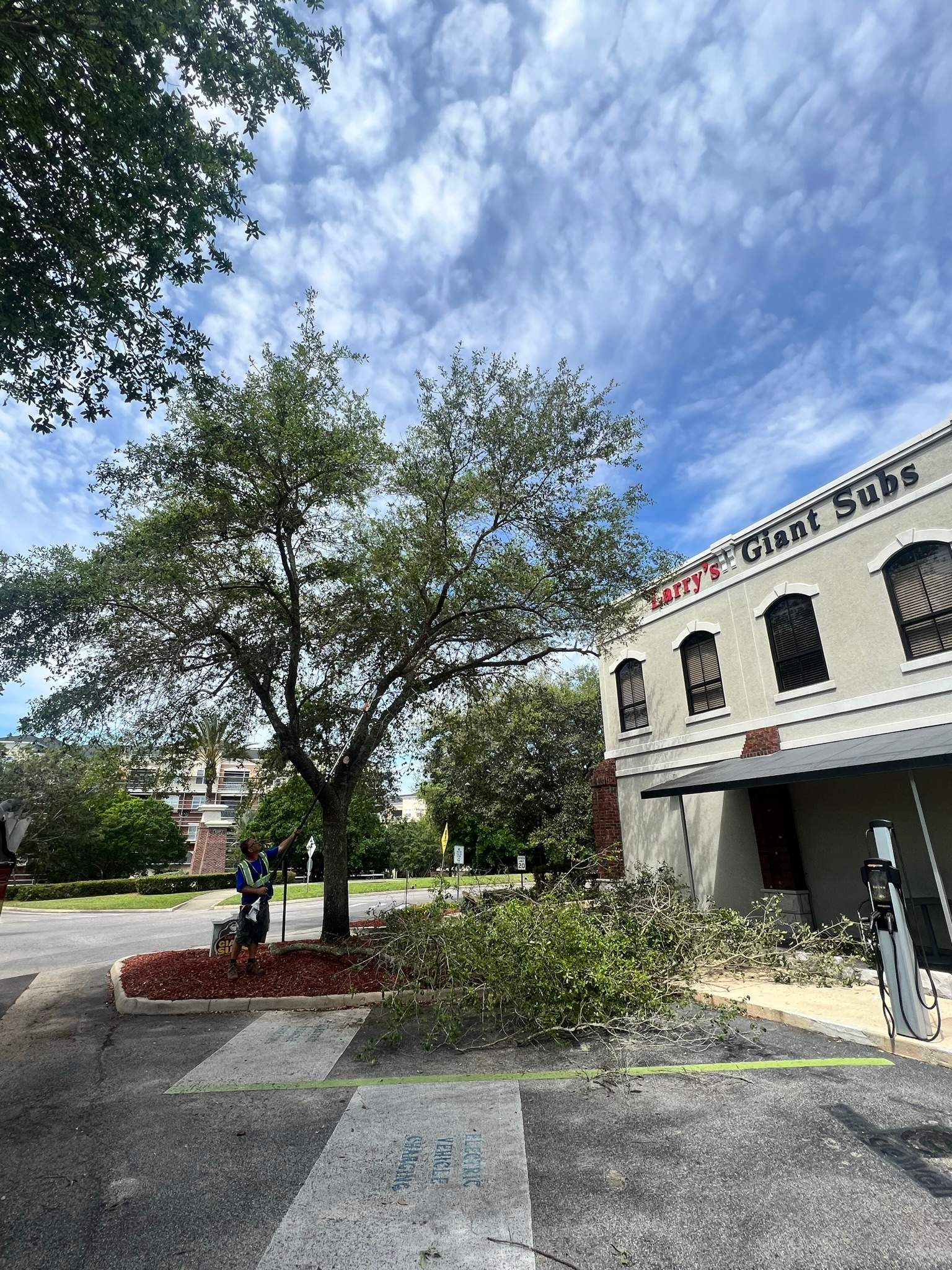 Tree Trimming | Larry's Giant Subs by ProGreen Services