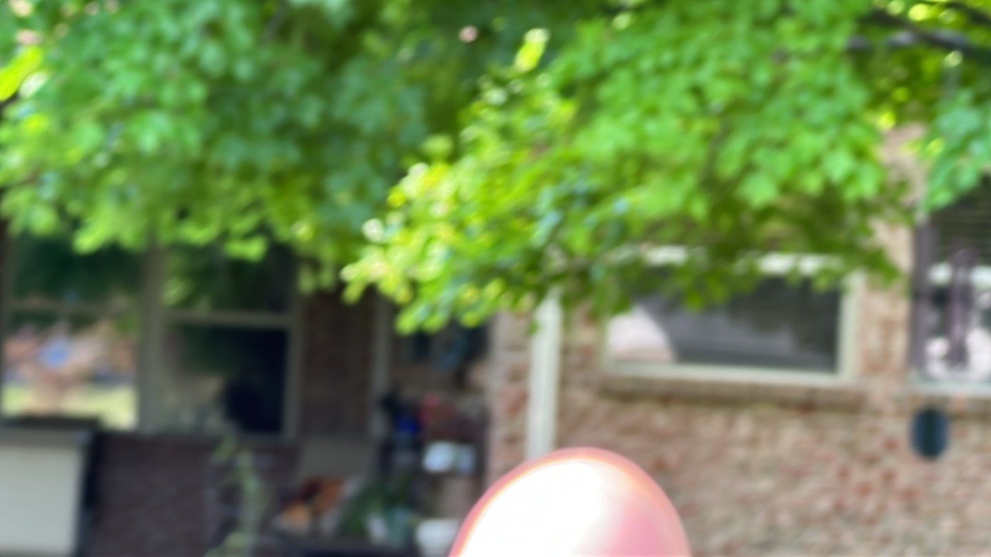 Roof and Windows! by Tamlin Roofing