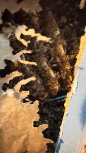 Garage by Rockwall Honey Bee Company