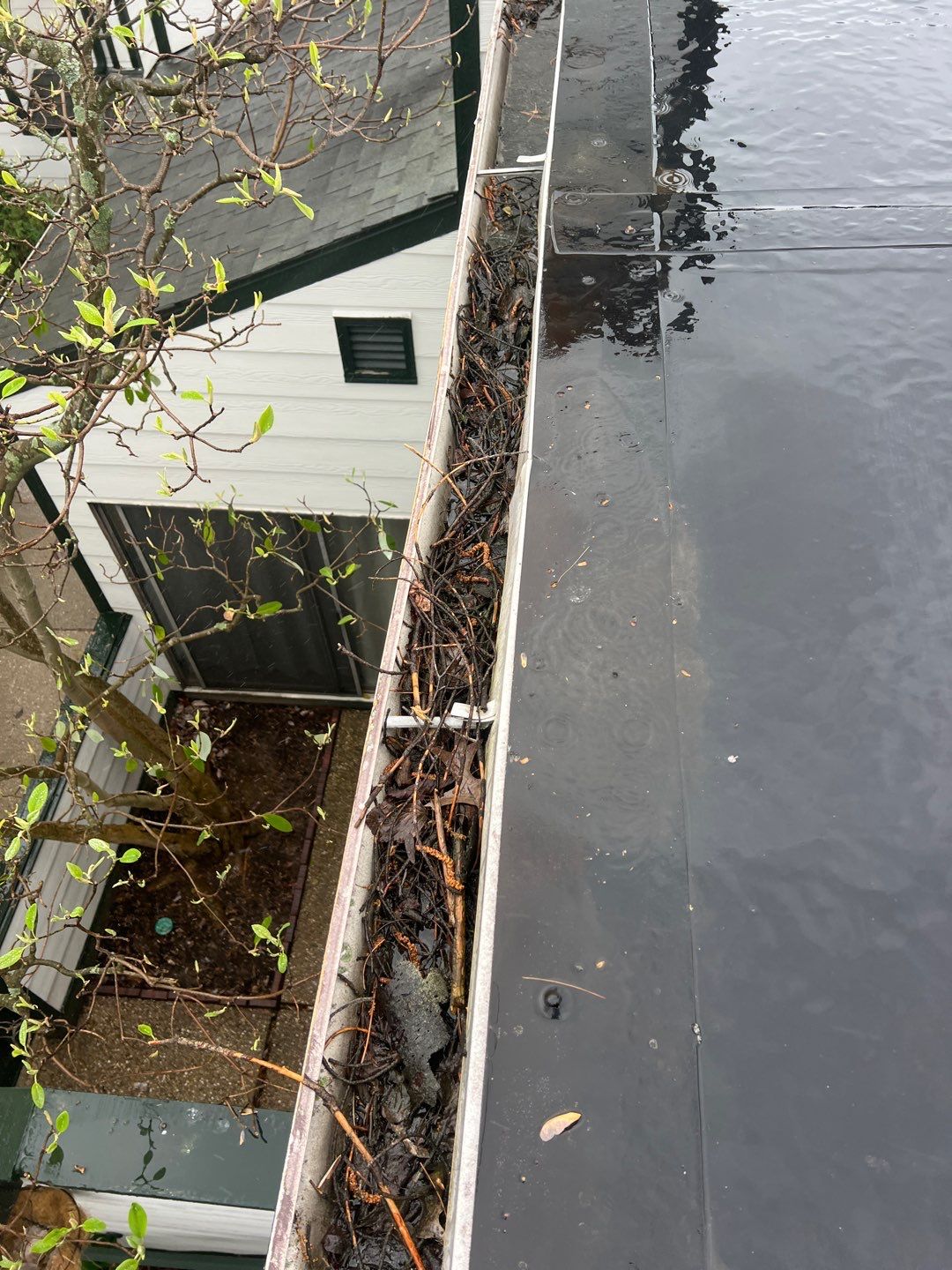 Commercial gutter cleaning Lexington before photo with filled gutters