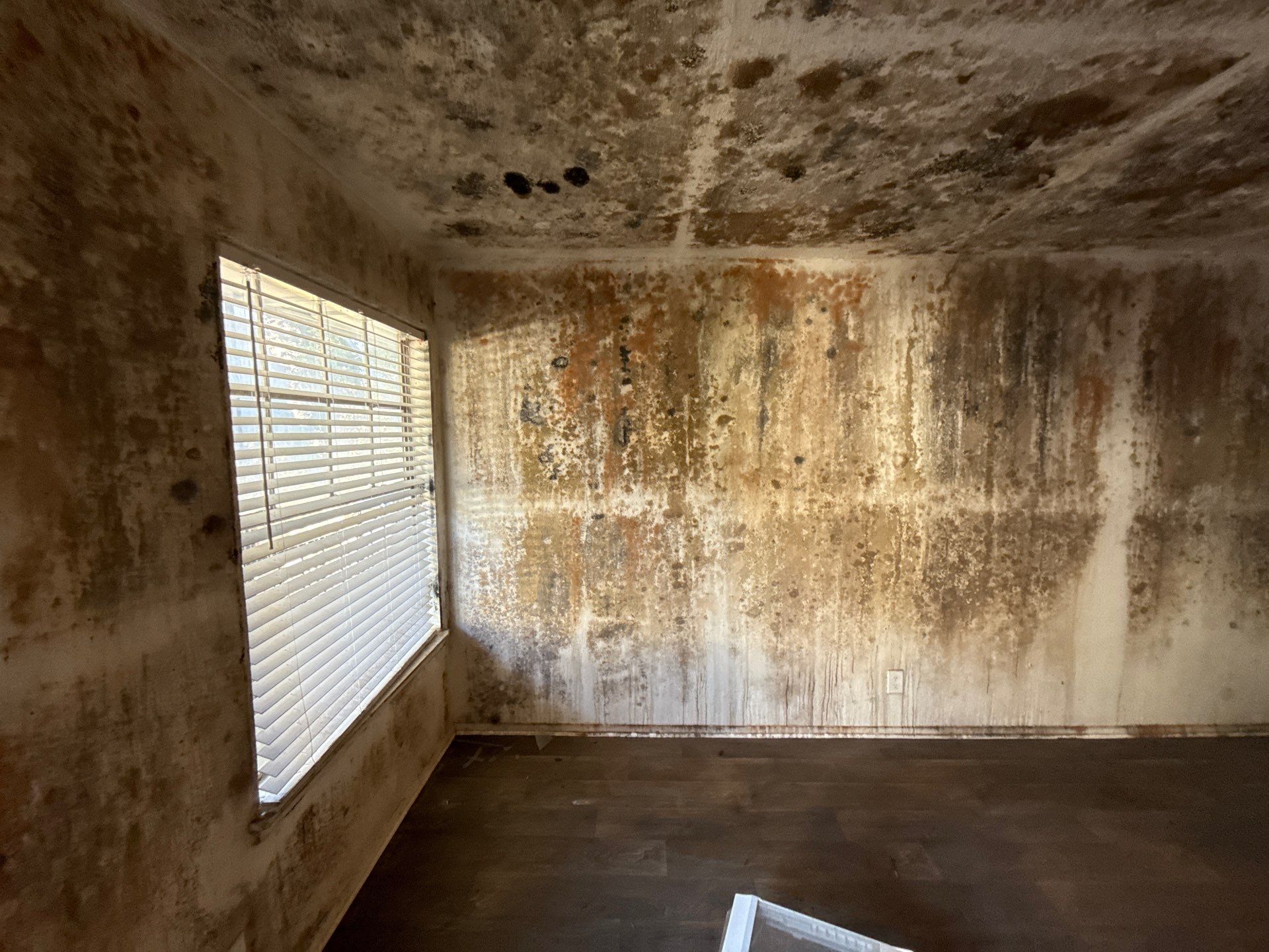 The Slate by Disaster Recovery Consultants