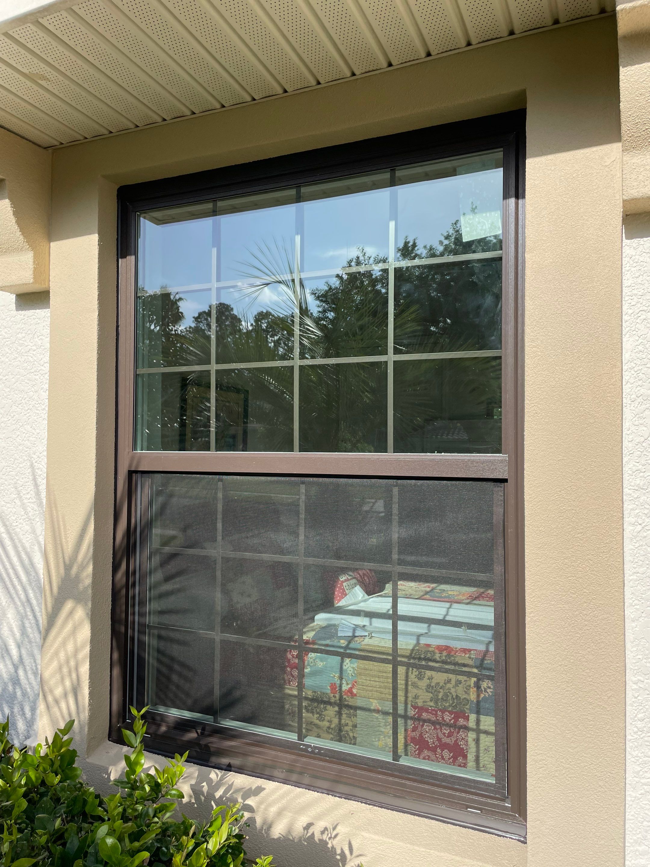 Bronze Single Hungs & PW's by NewSouth Window Jacksonville