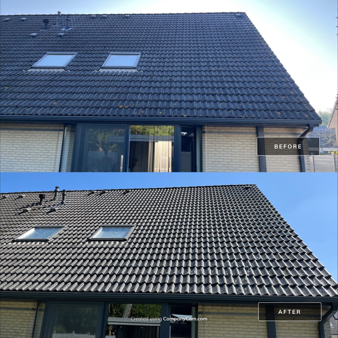 Novakleen featured photo.