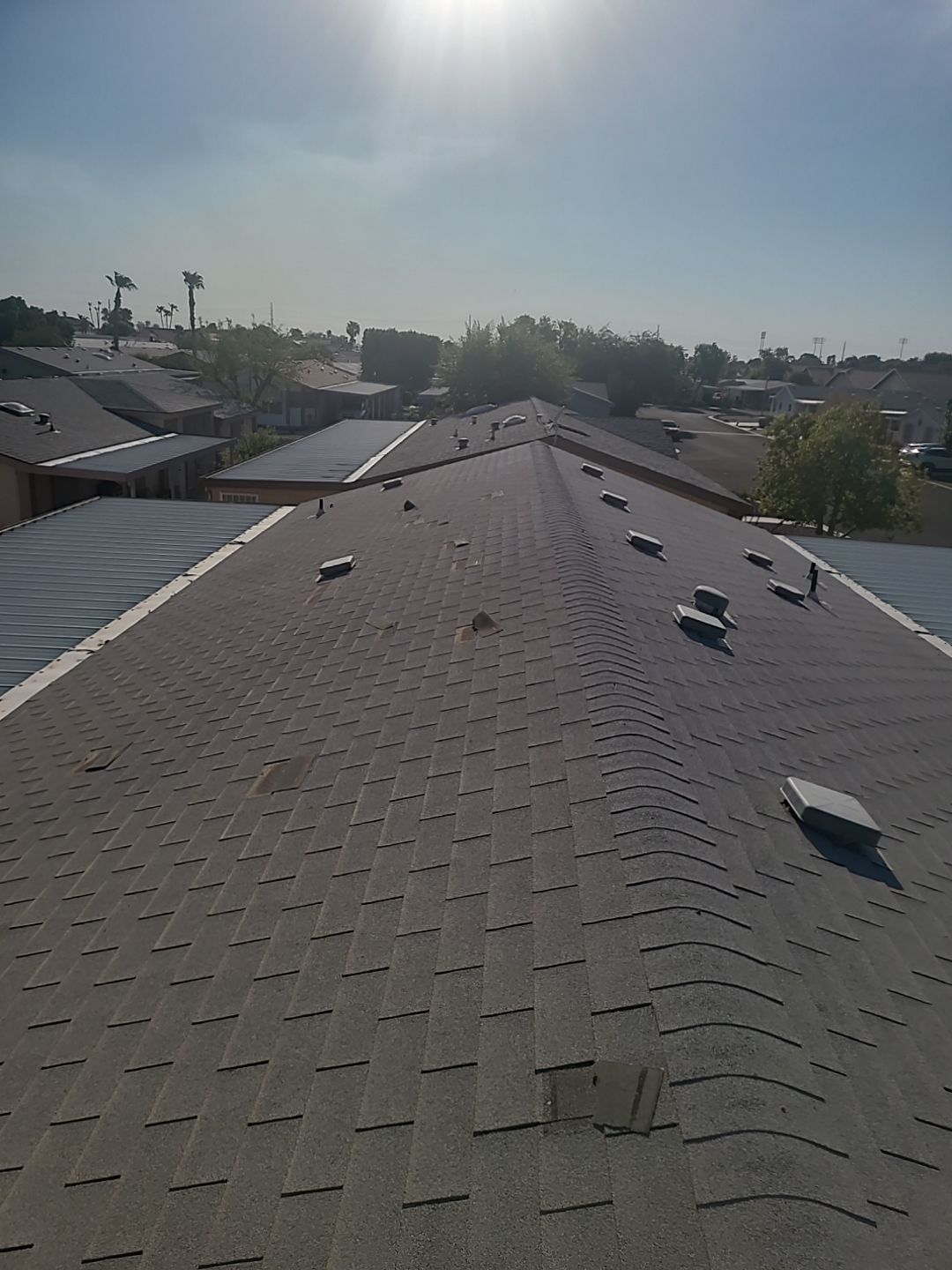 Silver Birch Shingles by Reimagine Roofing
