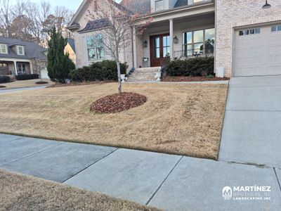 Spring trimming and lawn care in Durham