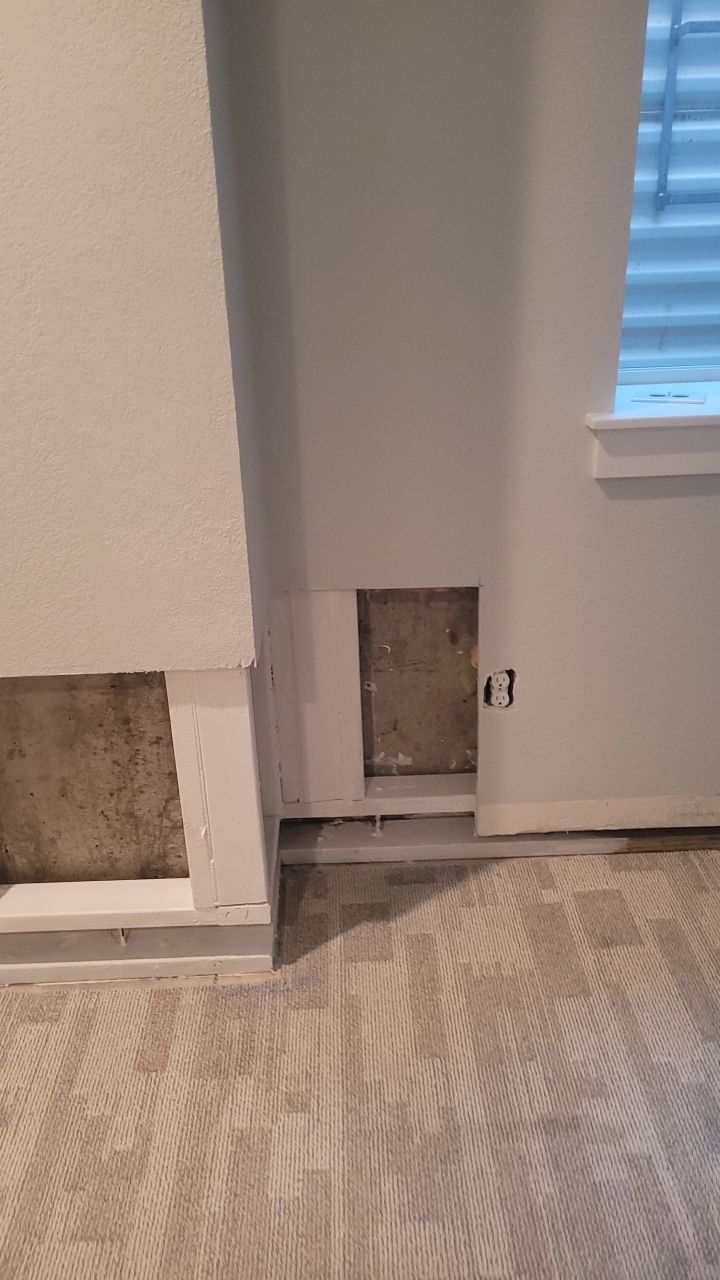 Mold Remediation  by Accountable Home Services