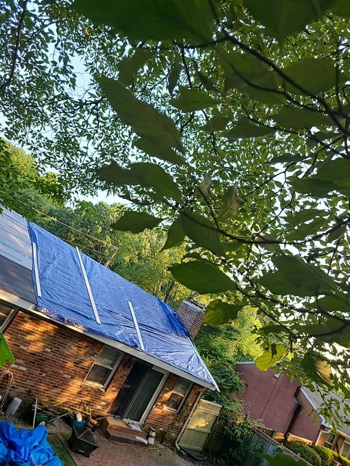 Springfield Tree Damage Restoration: CertainTeed Landmark Designer Shingles in Charcoal Black by RM Banning, Inc.