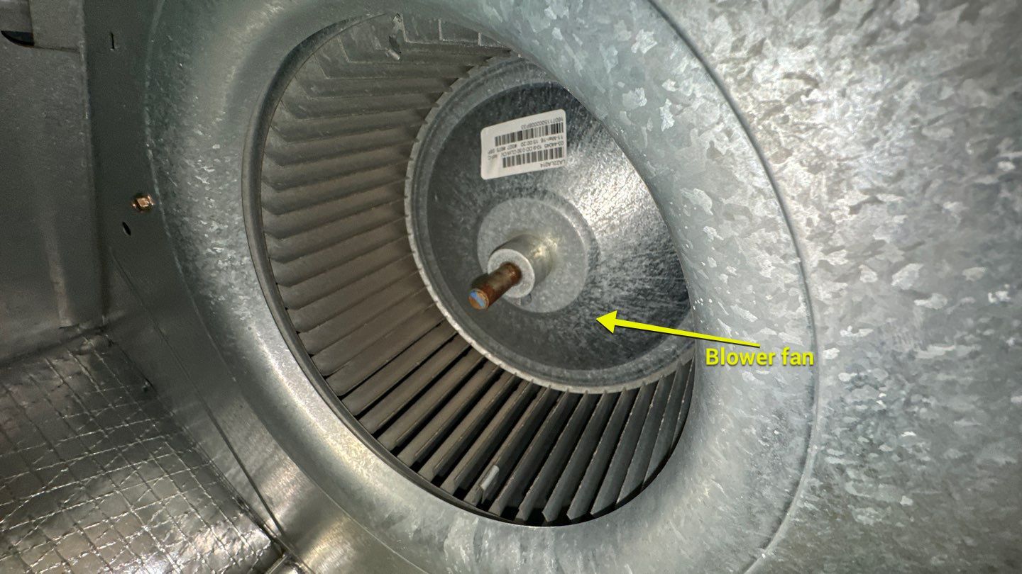 Commercial Air Duct Cleaning in Clermont by Hygienic Air, Inc