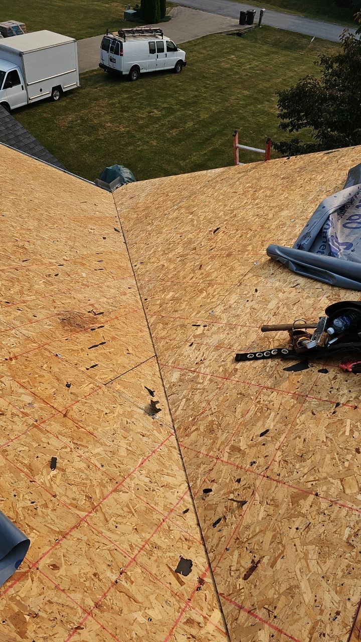 ATLAS PINNACLE COLOR: COASTAL GRANITE by Eagle Eye Roofing