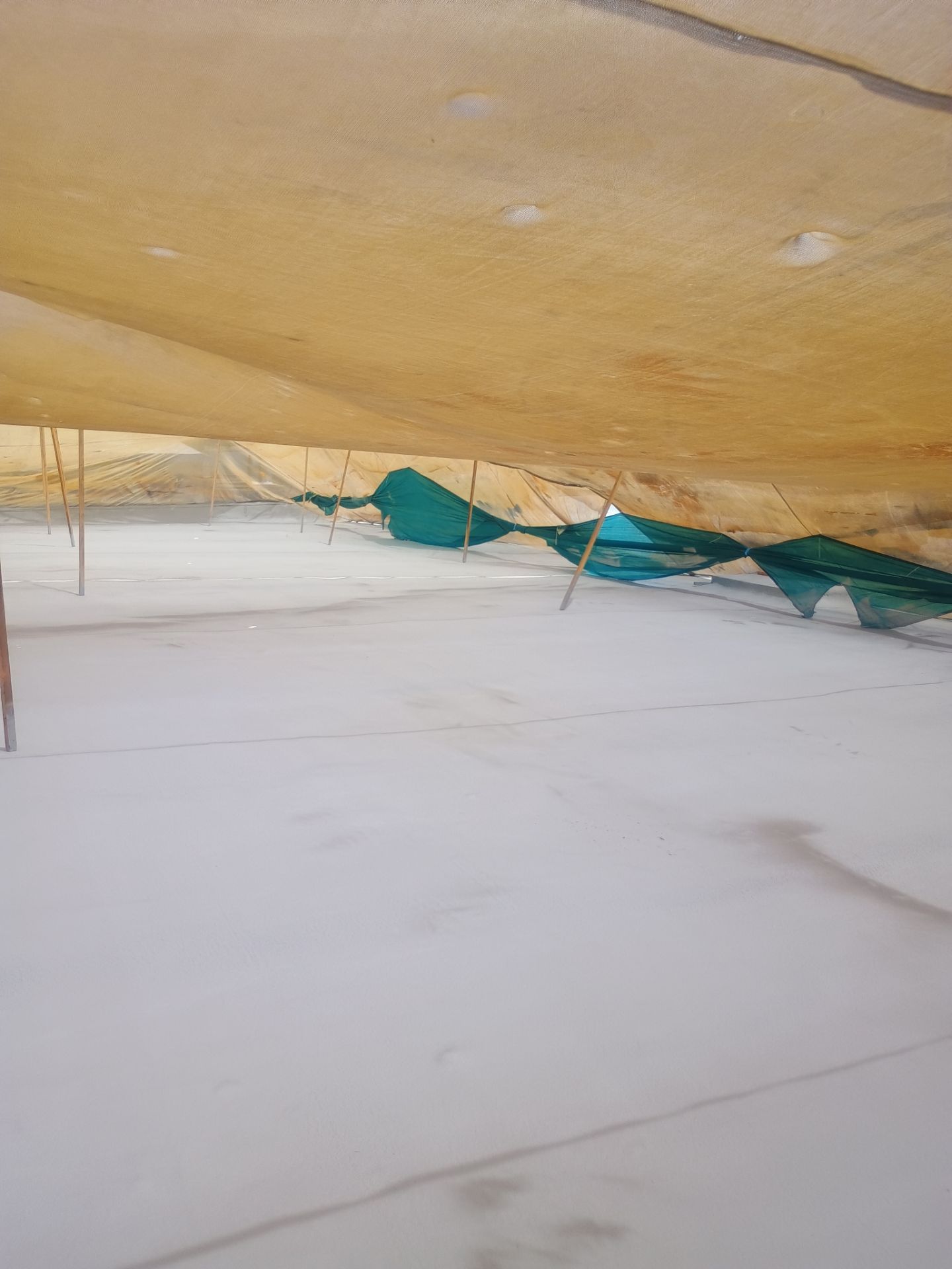 Pro Farms Spray foam roofing project by Straight Edge Roofing Inc