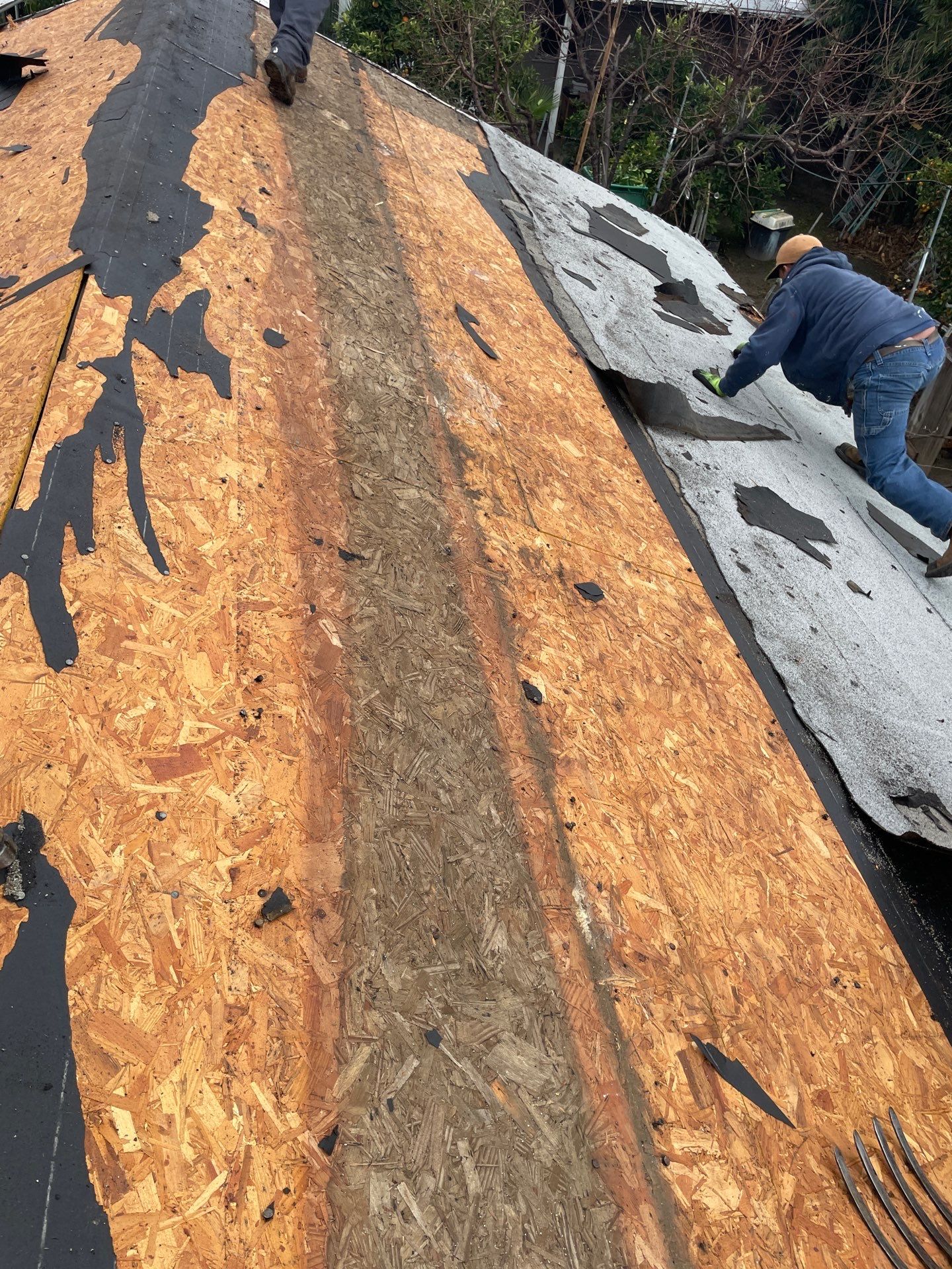 Complete Roof Replacement - Porterville, CA by Grandmark Service Company
