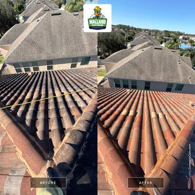 Barrel Tile Roof Cleaning