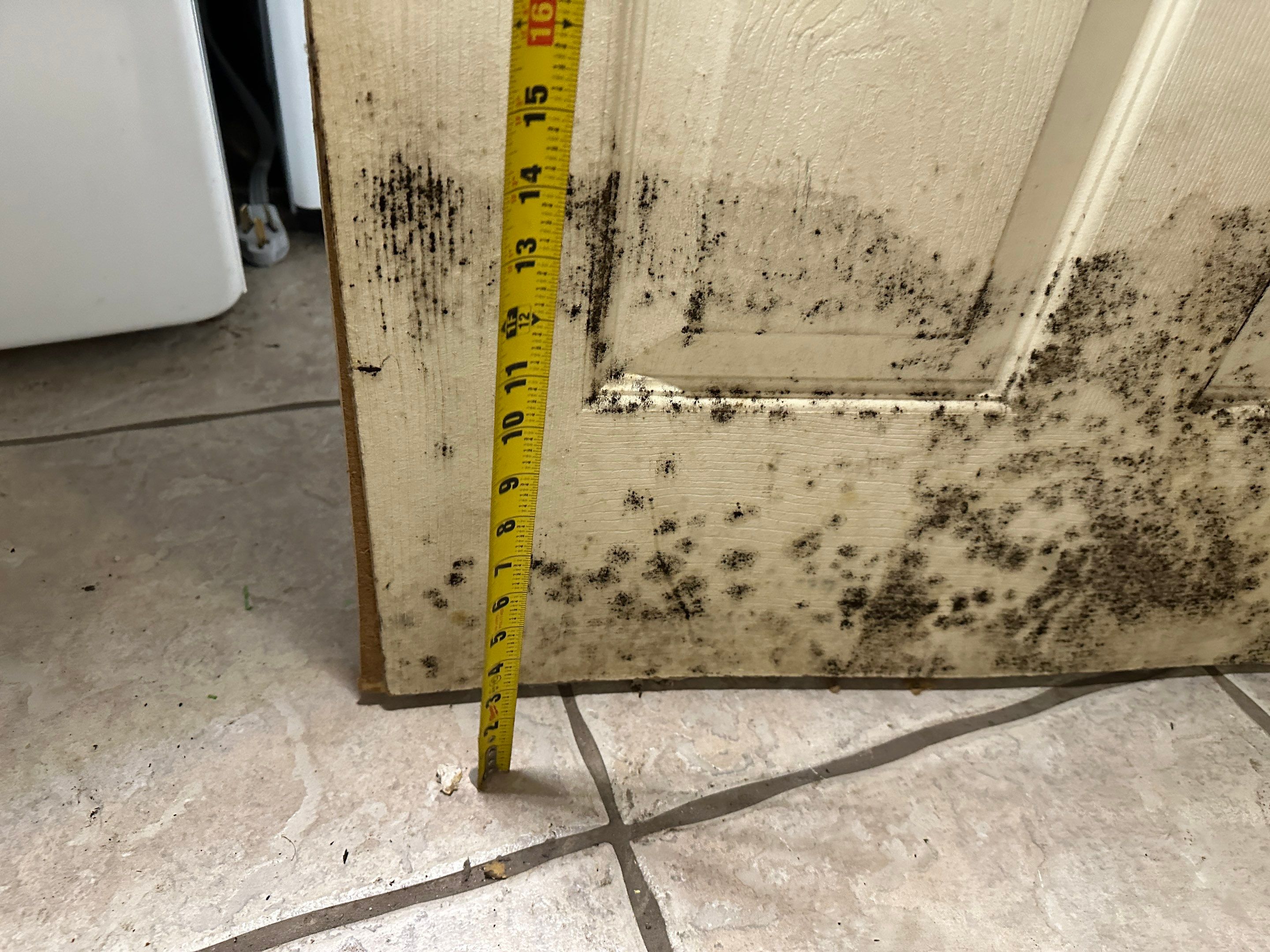 Flood Damage Claim in Tampa  by FLAPA & KeyStone