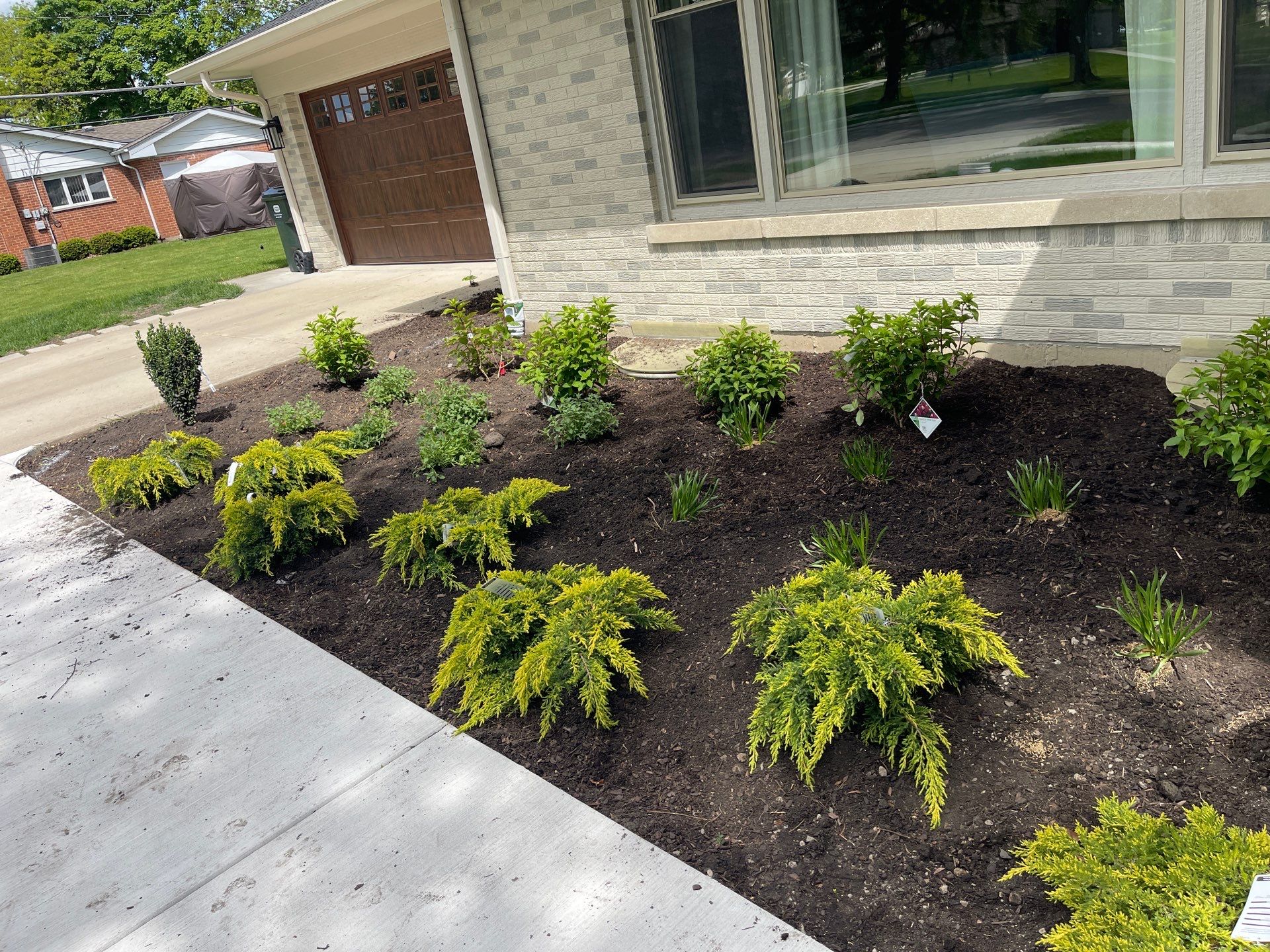 James F. - Arlington Heights, IL by A&N
