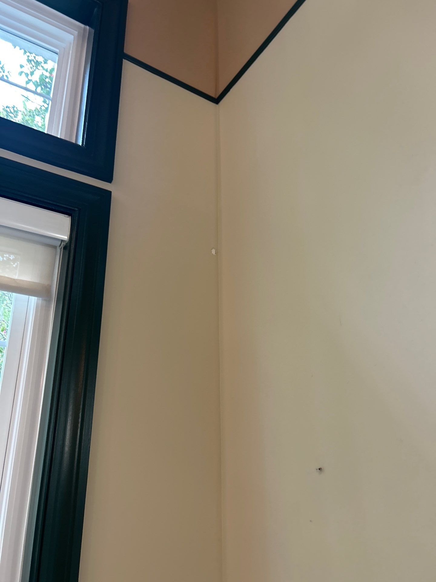 Commercial Interior Painting in Gainesville, MD by My Painter 