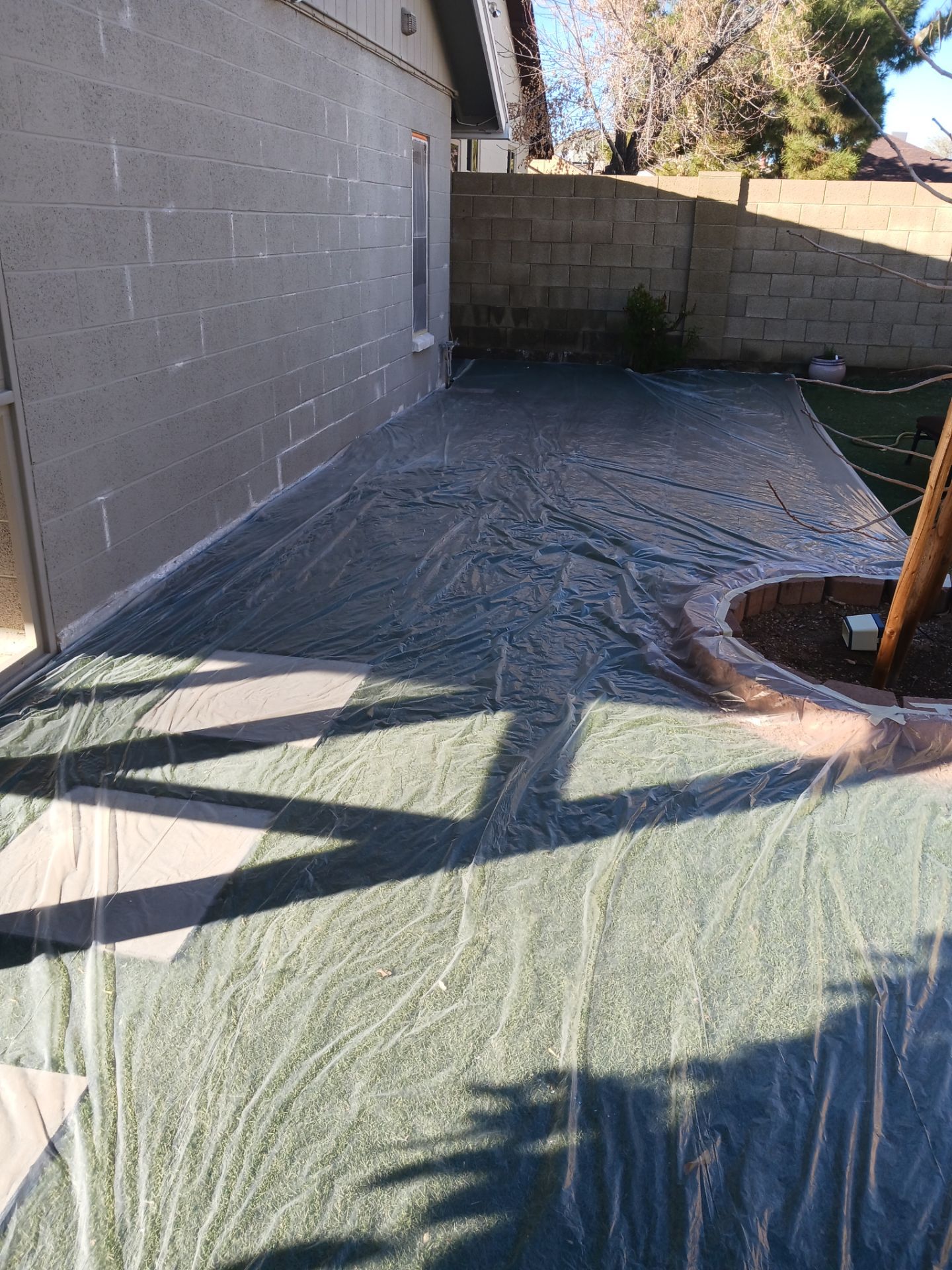 Phoenix by Crash of Rhinos Painting & Garage Floors