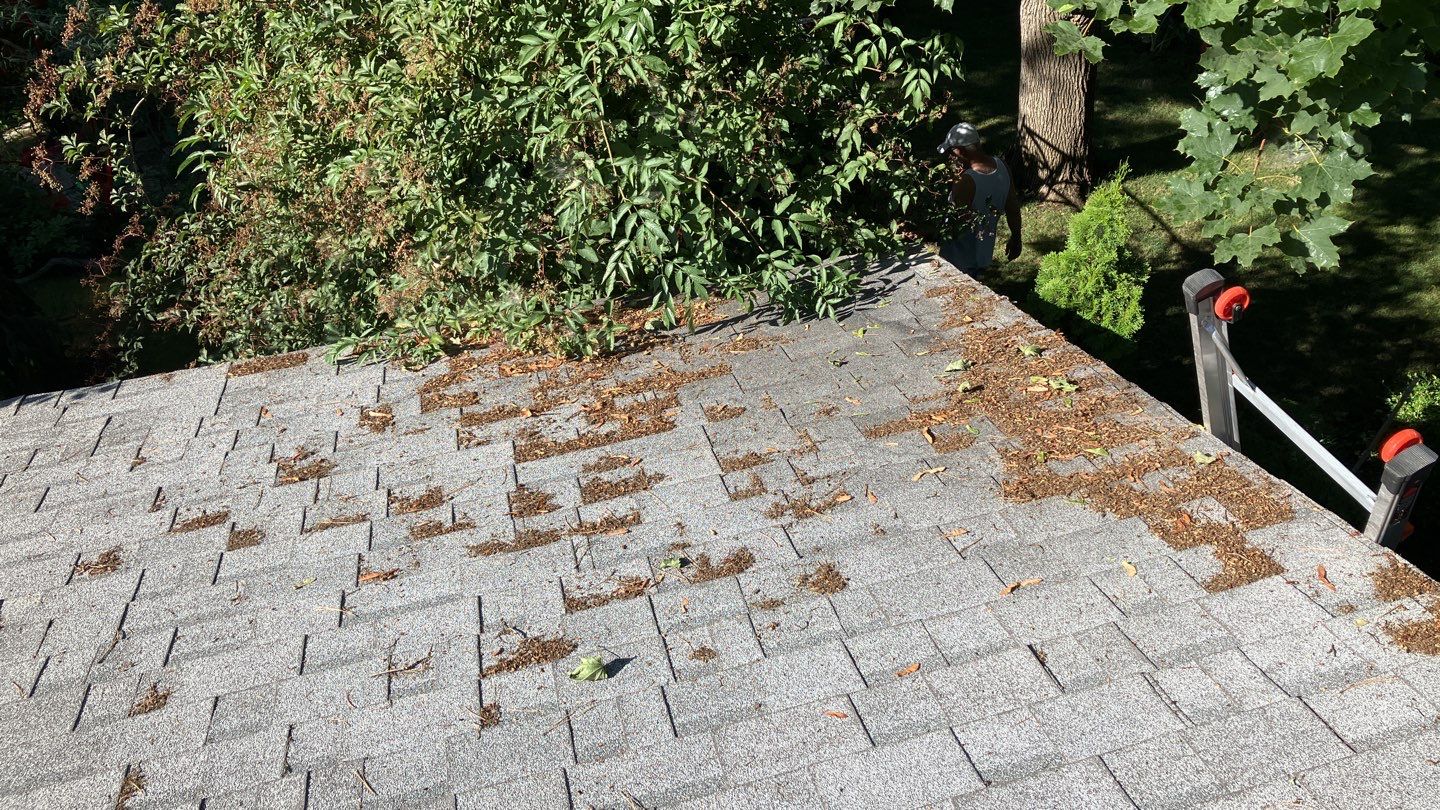 Creative Blend of 2 different Owens Corning Duration Designer Collection by ID Roofing LLC