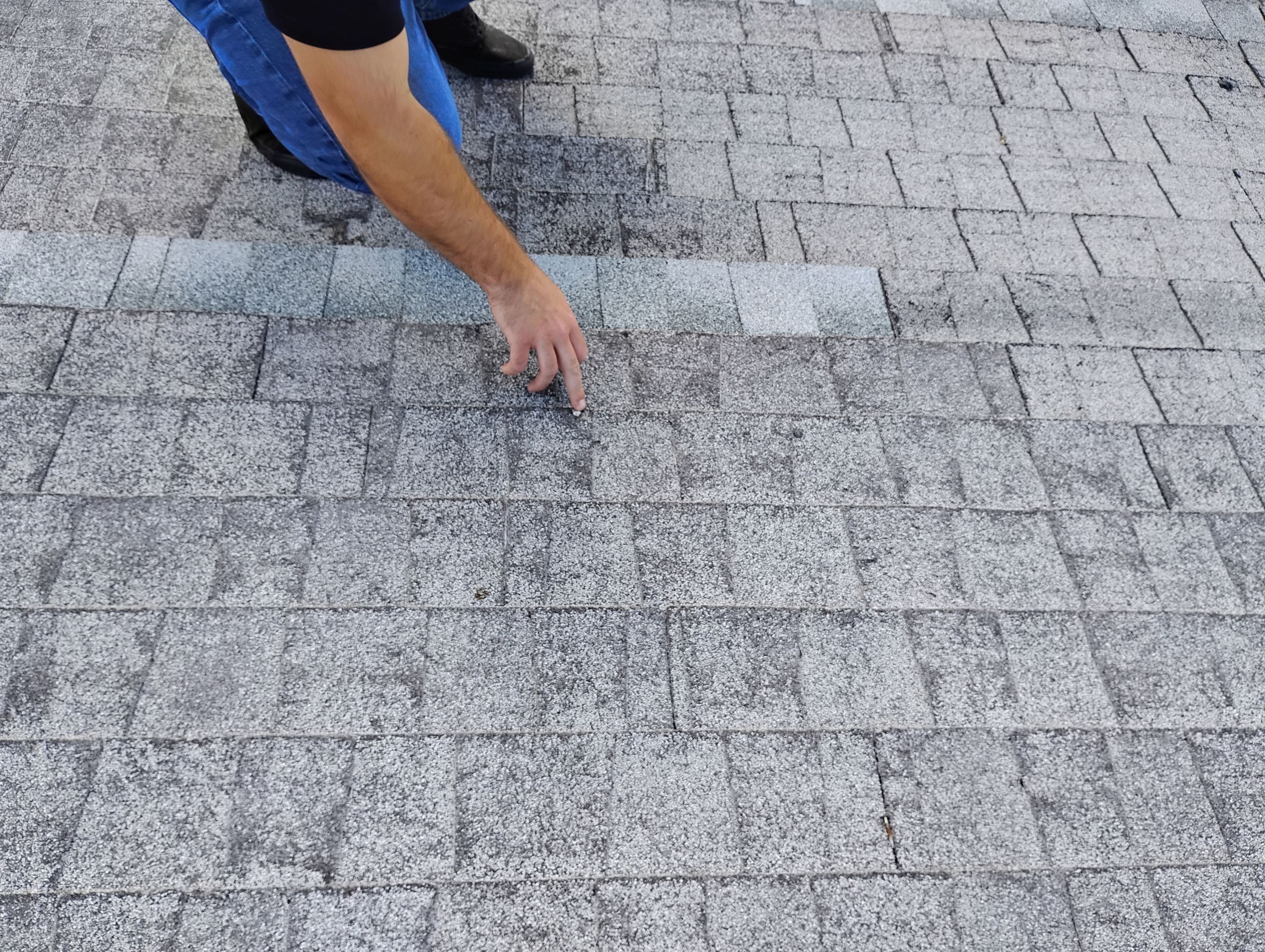 Onyx Black Shingles by Reimagine Roofing