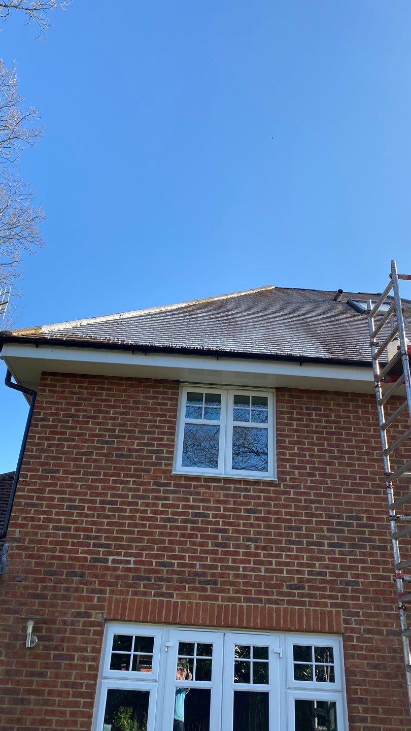 Mosmatic FSC and Biocide by Ges Exterior Cleaning ltd
