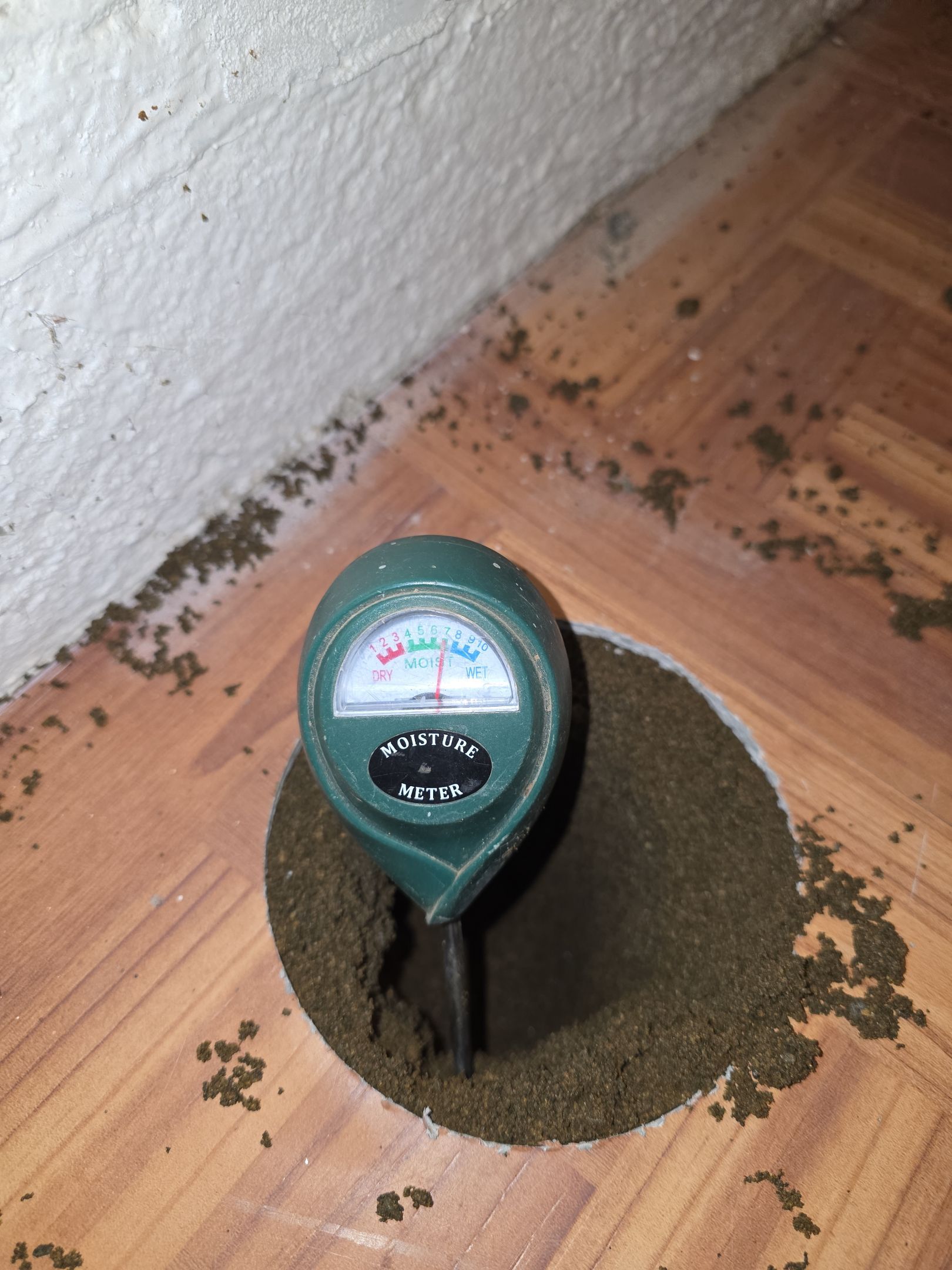 Portland Project by JustRadon.Com