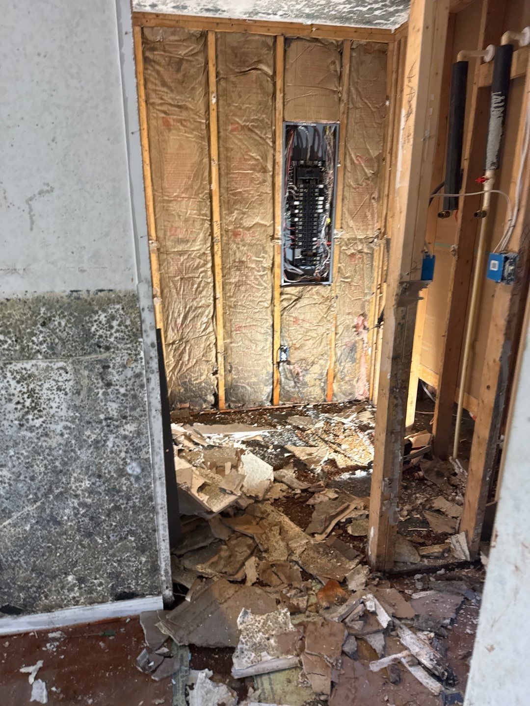 Water Damage& Mold Remediation Project-Dover, DE. by Healthy Home Solutions