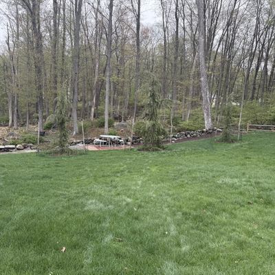Driveway and Mulch 