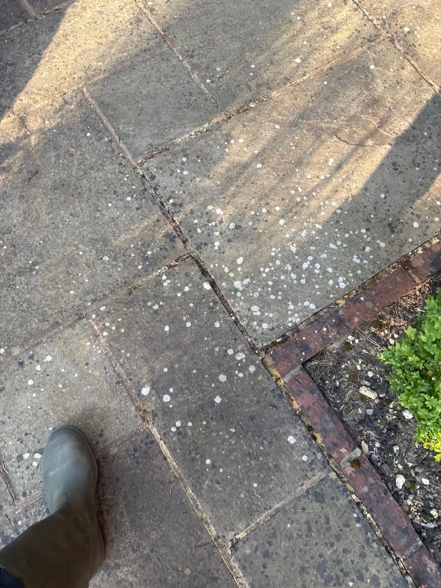 Patio Area Spring Clean using 18inch Whirlaway FSC by Ges Exterior Cleaning ltd