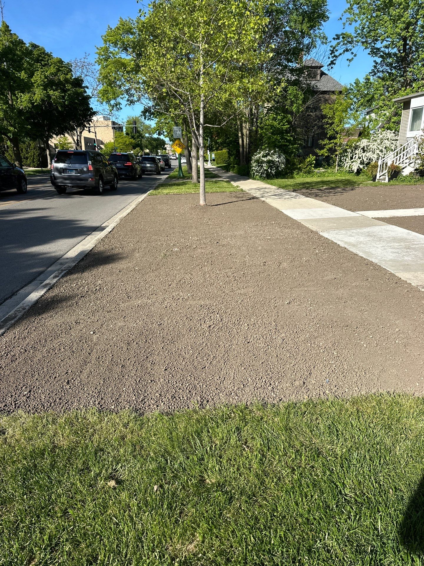 Tom D. - Wilmette, IL by A&N