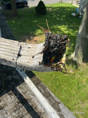 Gutter Cleaning