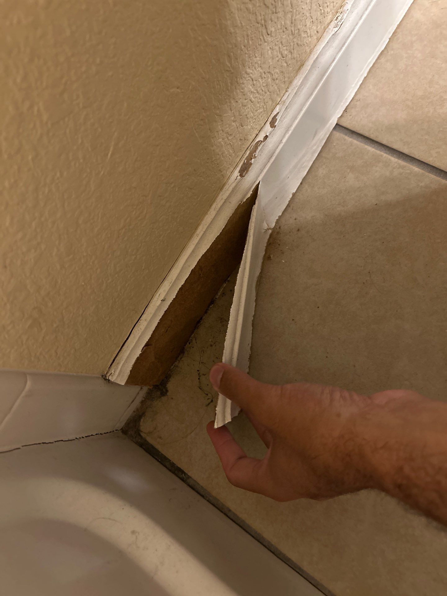 Project in Arvada by Accountable Home Services