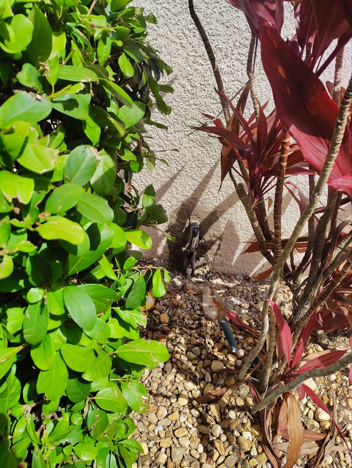 Project in Kissimmee by Serene Construction